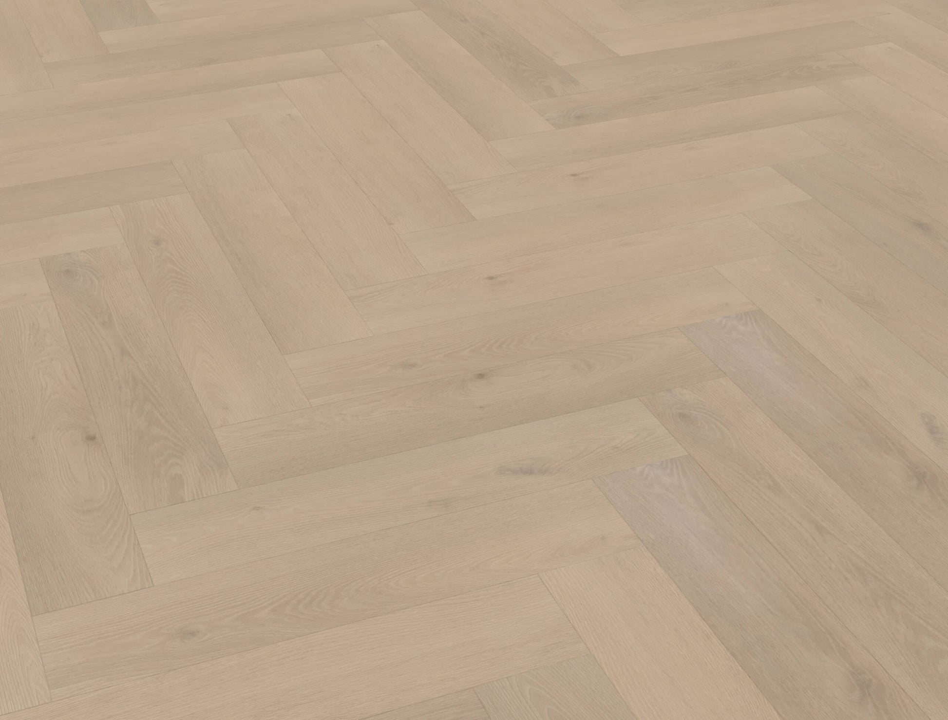 Belakos - Palazzo visgraat XL 74