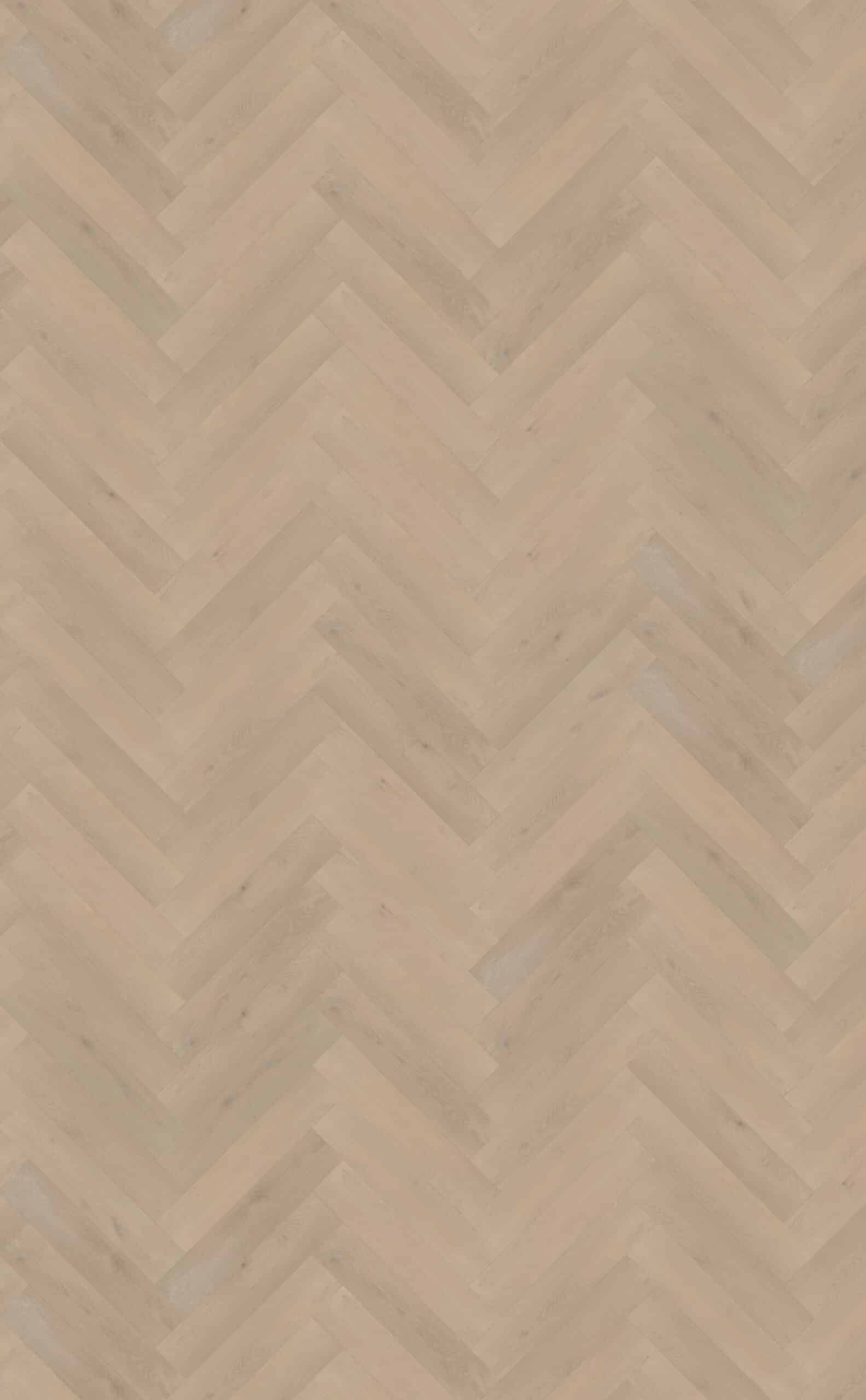 Belakos - Palazzo visgraat XL 74