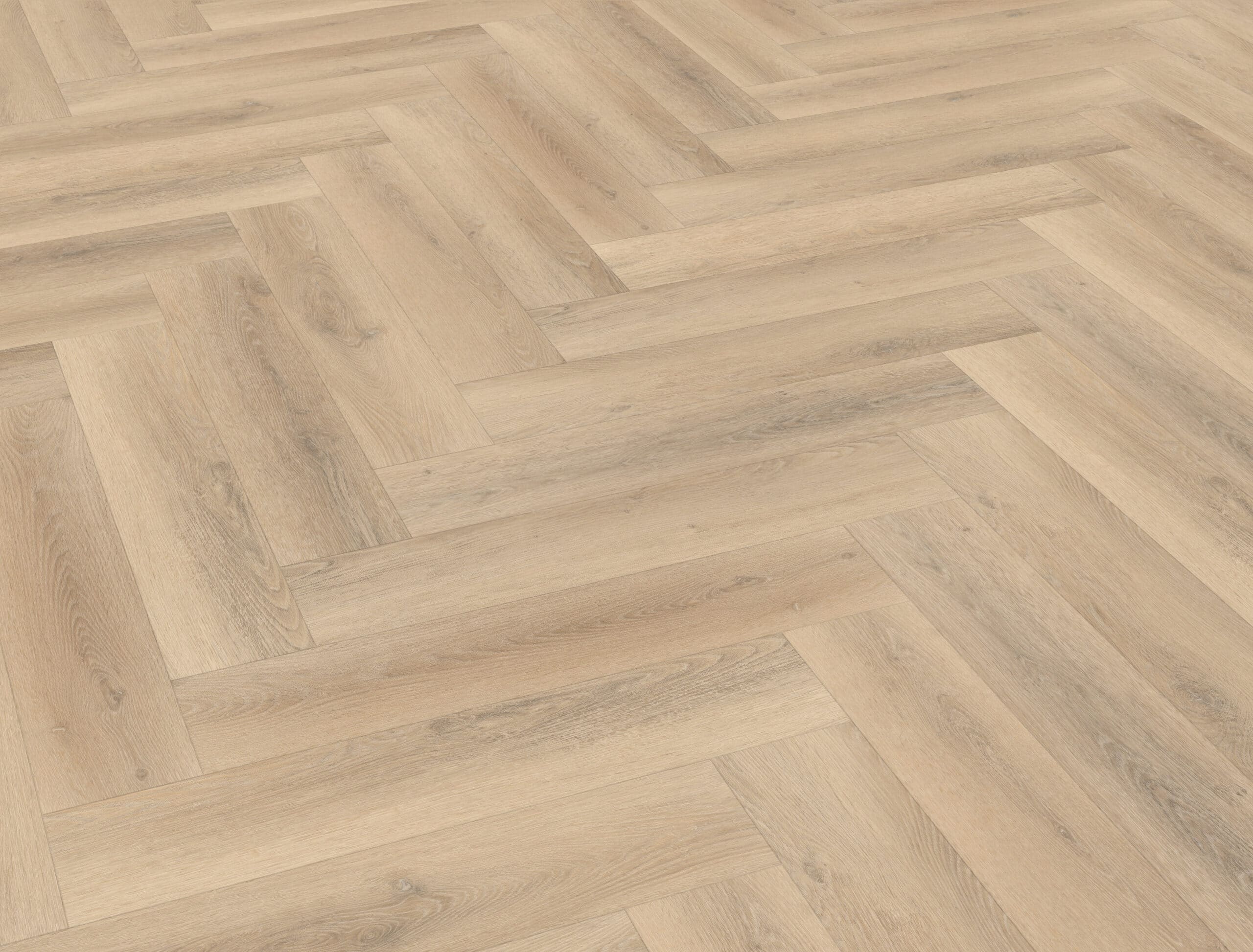 Belakos - Palazzo visgraat XL 75