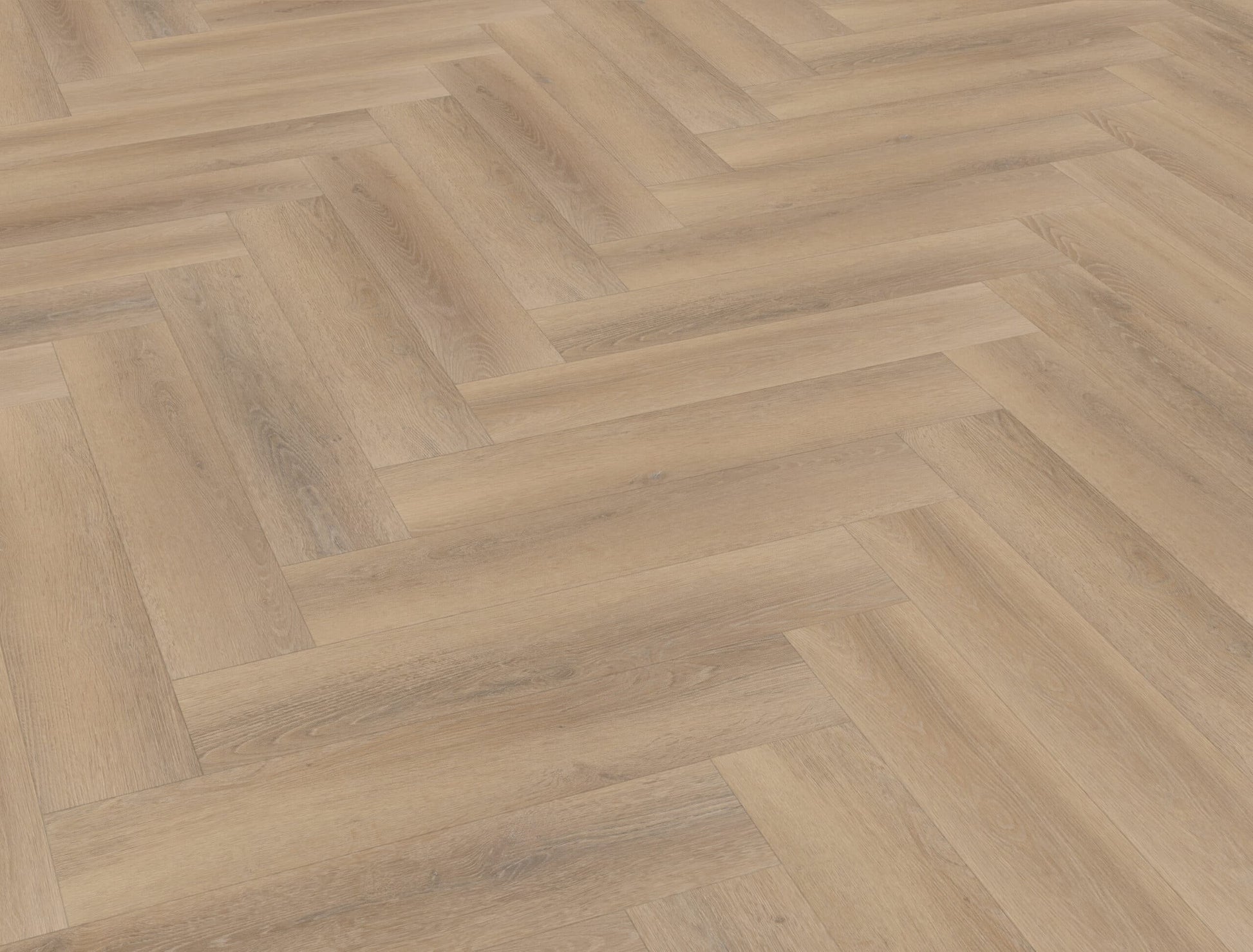 Belakos - Palazzo visgraat XL 76