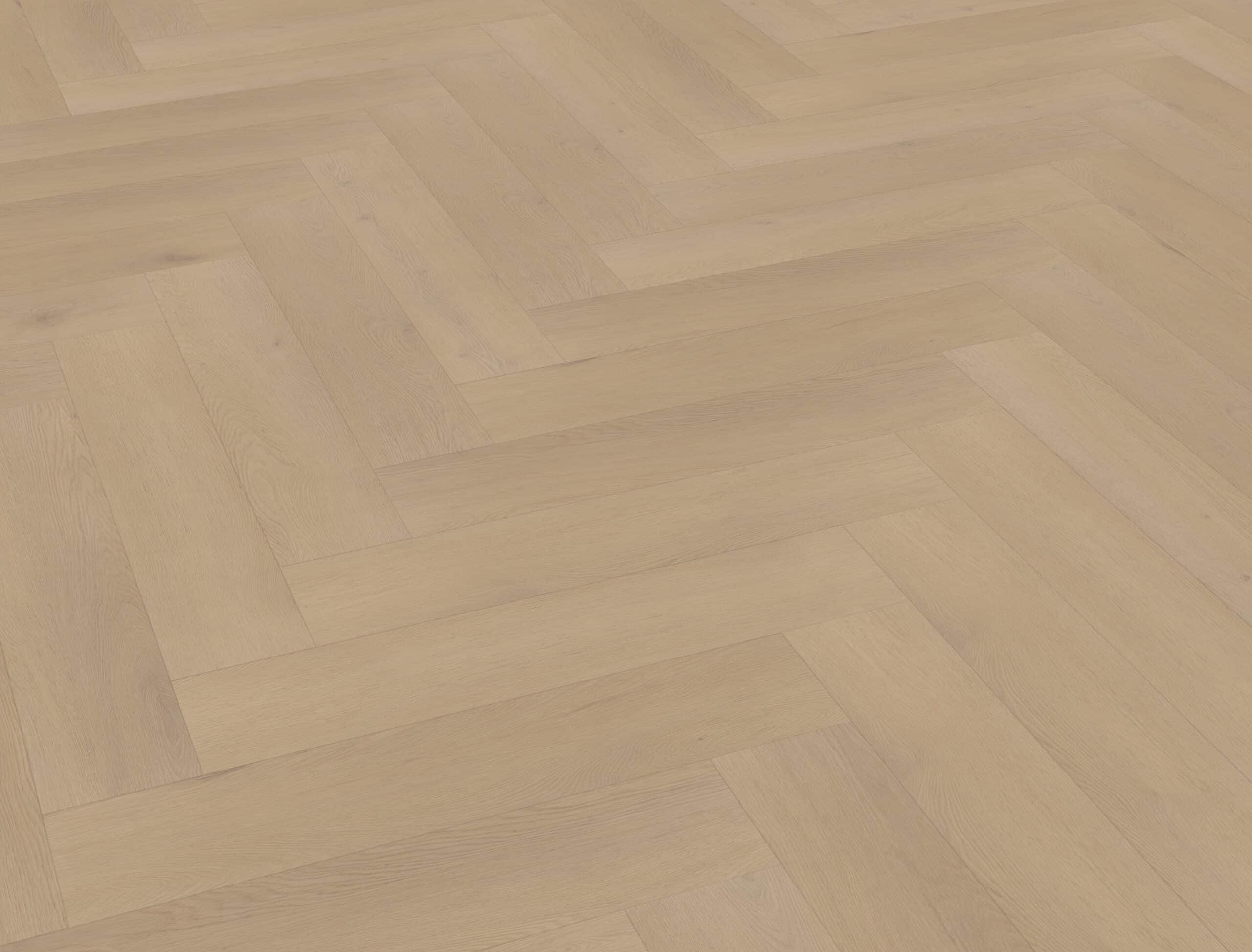 Belakos - Palazzo visgraat XL 77