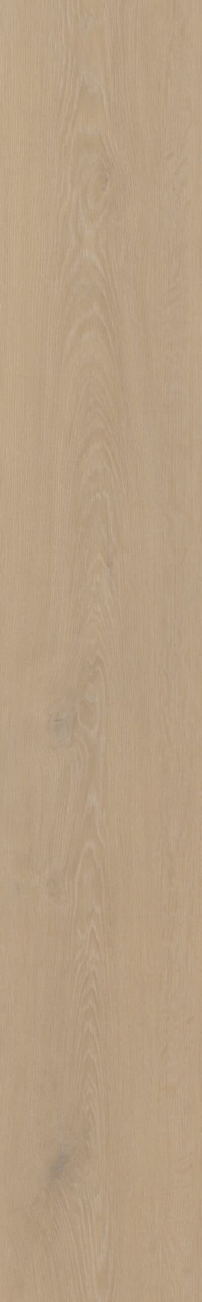 Belakos - Cervo 200 Rigid Click