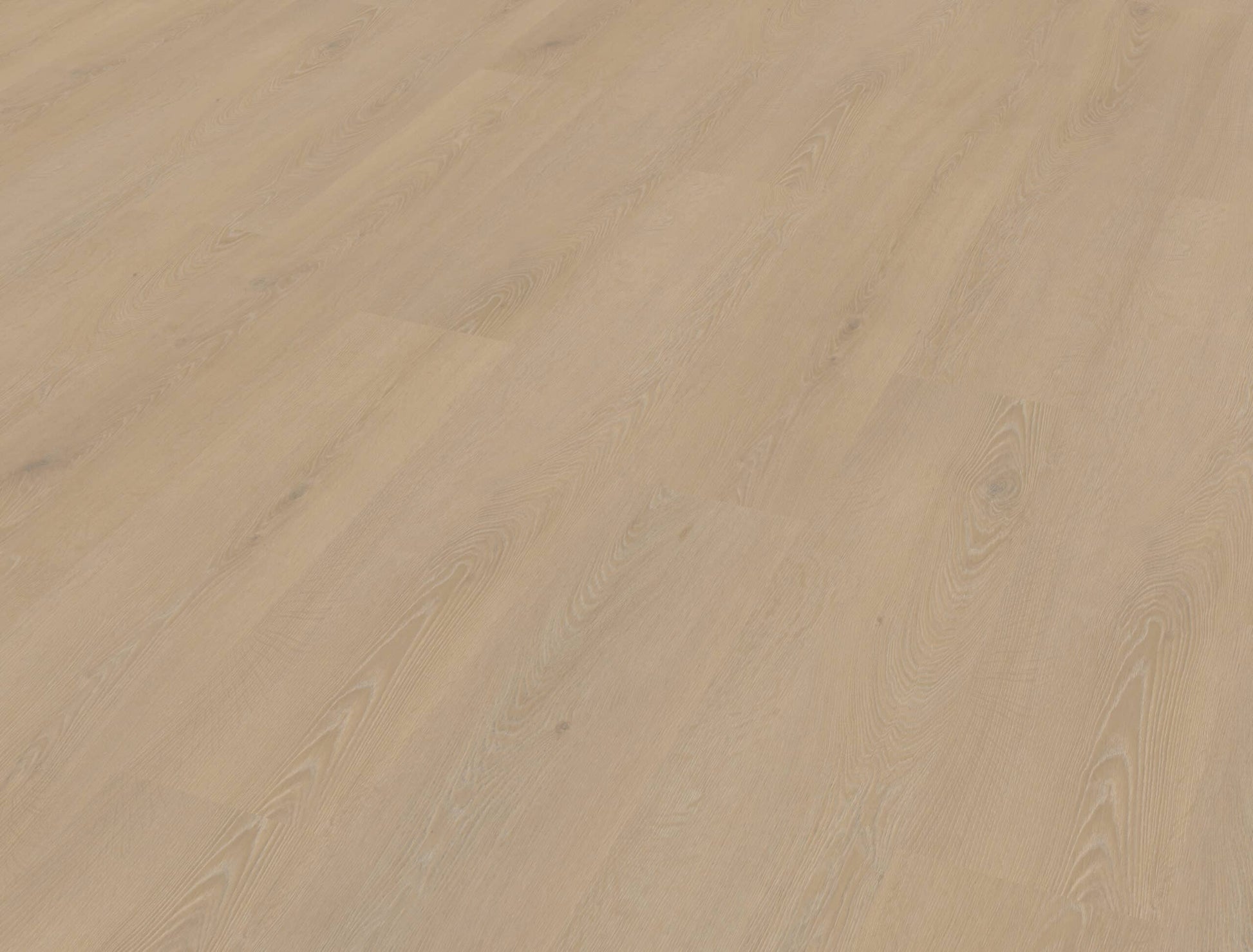 Belakos - Cervo 200 Rigid Click