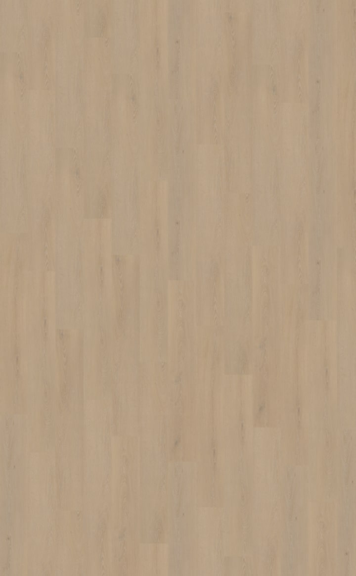 Belakos - Cervo 200 Rigid Click