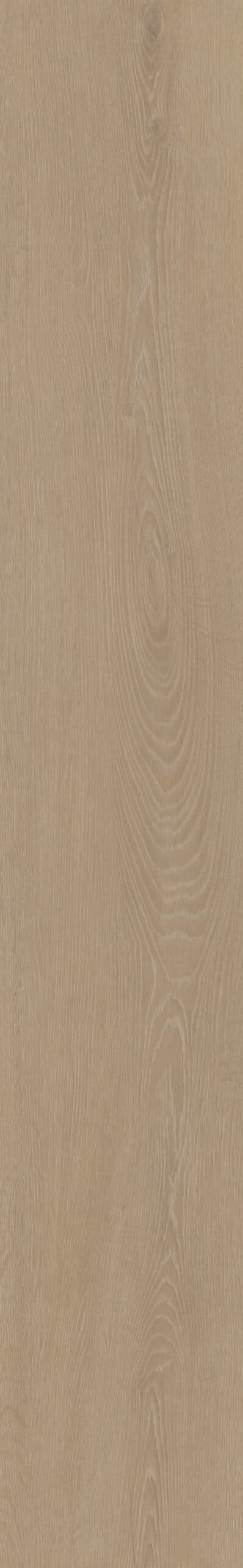 Belakos - Cervo 210 Rigid Click