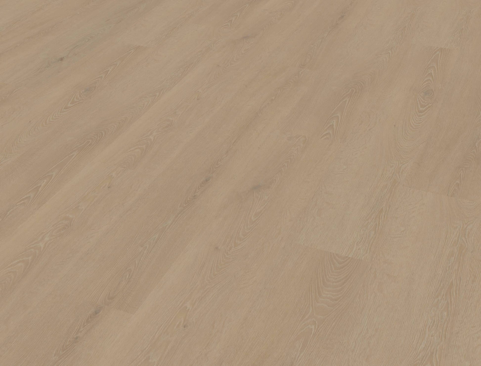 Belakos - Cervo 210 Rigid Click