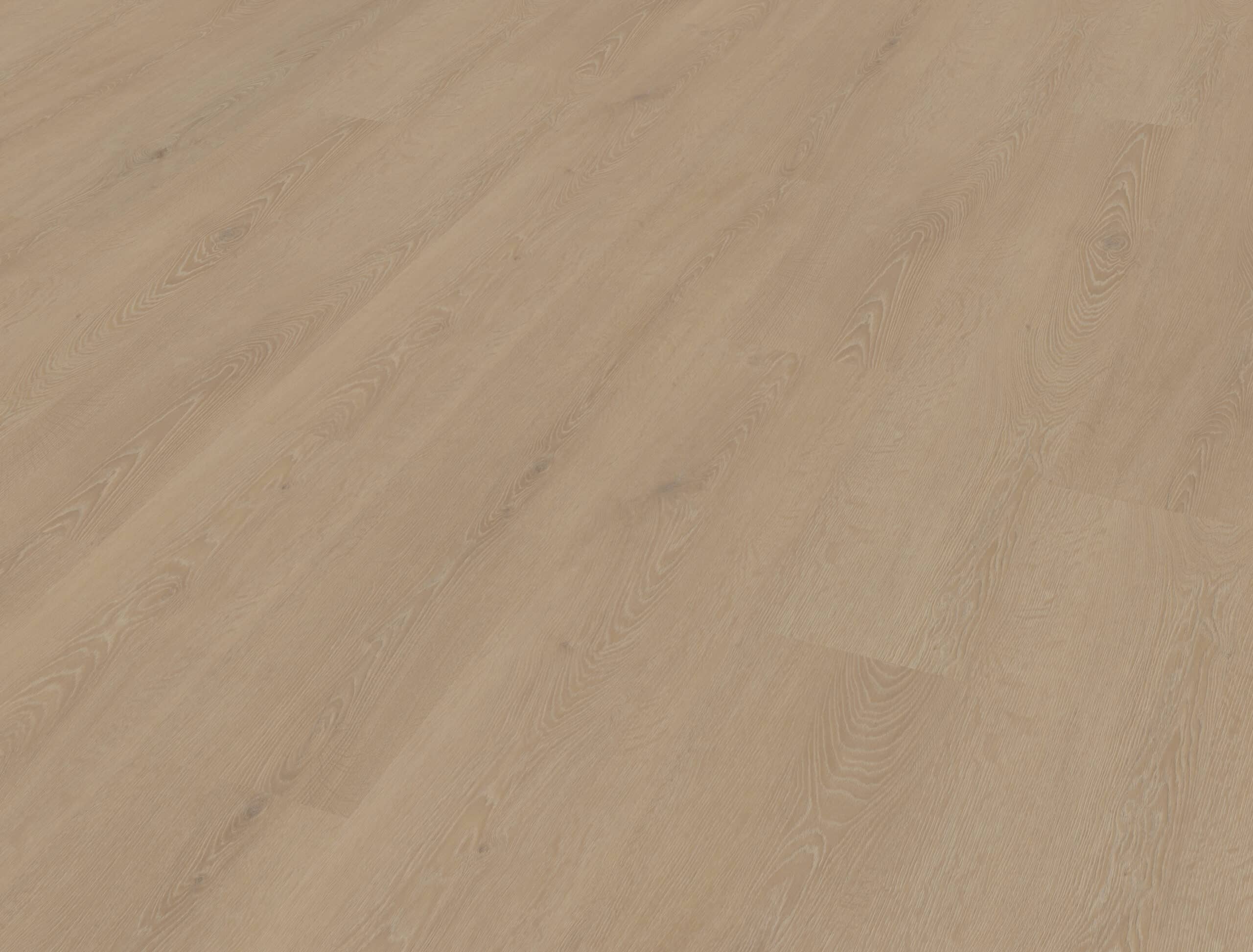 Belakos - Cervo 210 Rigid Click