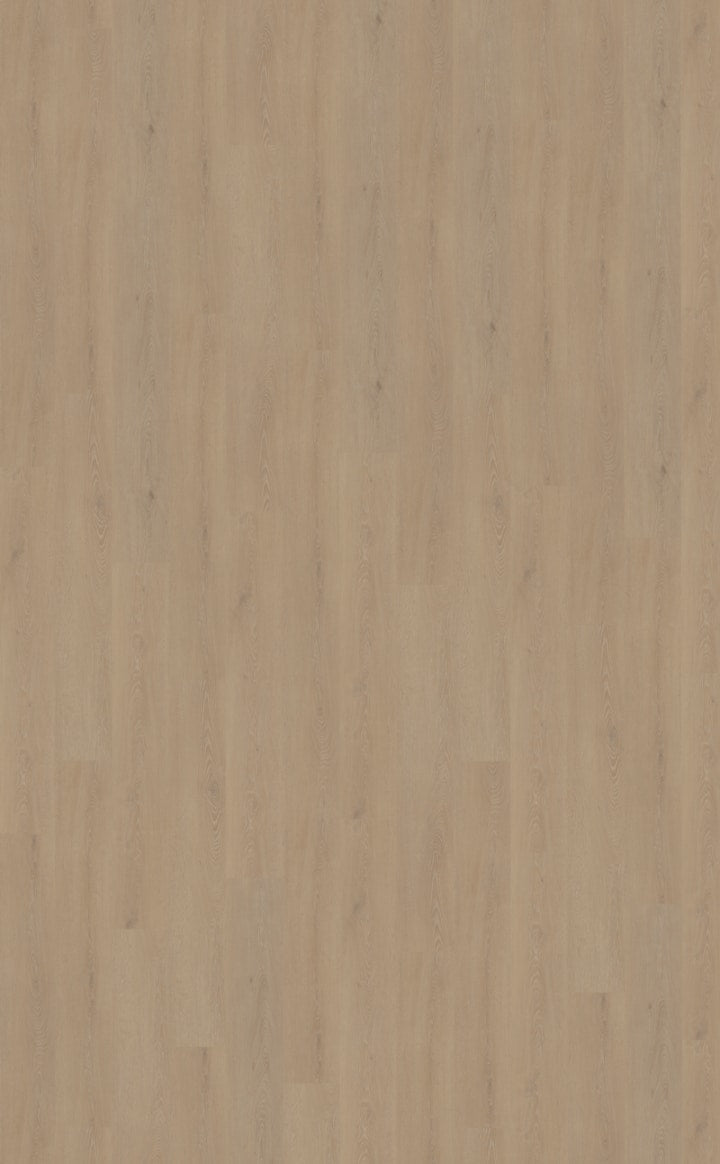 Belakos - Cervo 210 Rigid Click