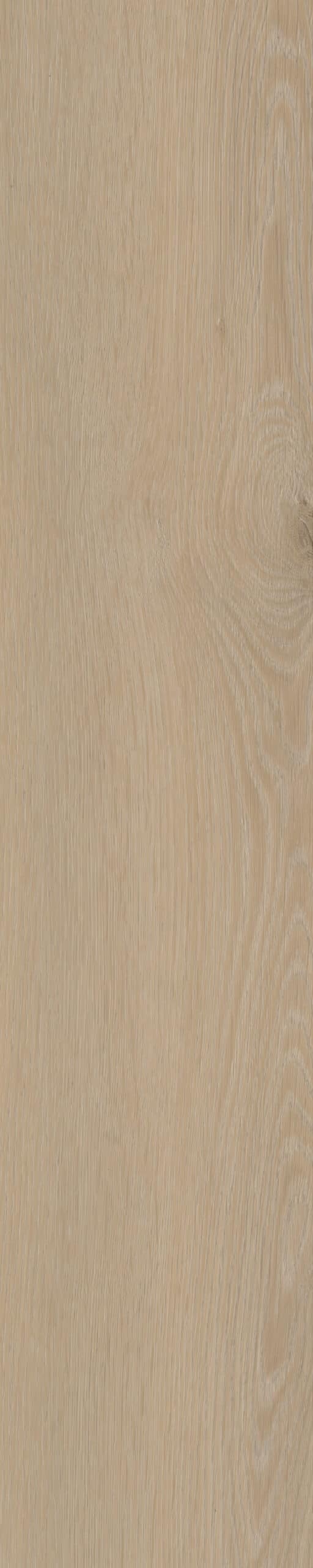 Belakos - Cervo Visgraat XL 20