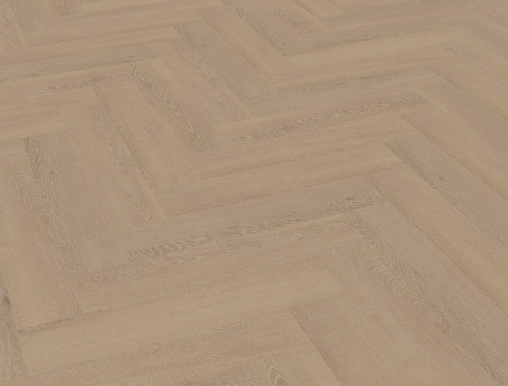 Belakos - Cervo Visgraat 21 Rigid Click