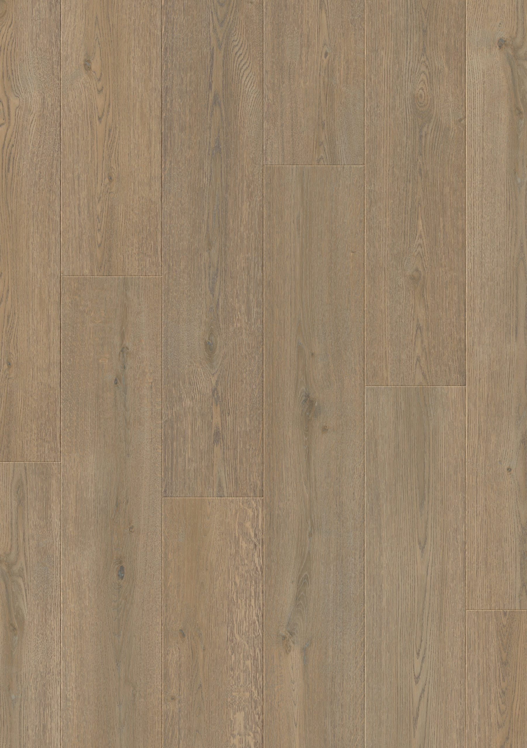 Hoomline - Elite Classic V4 Charlotte 6037 - Aquaprotect