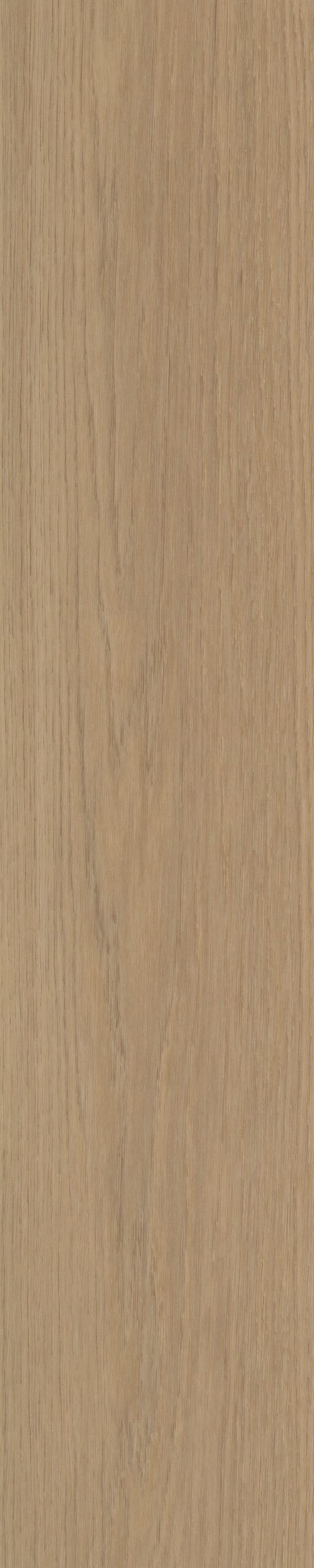 Belakos - Futuro Visgraat XL 50