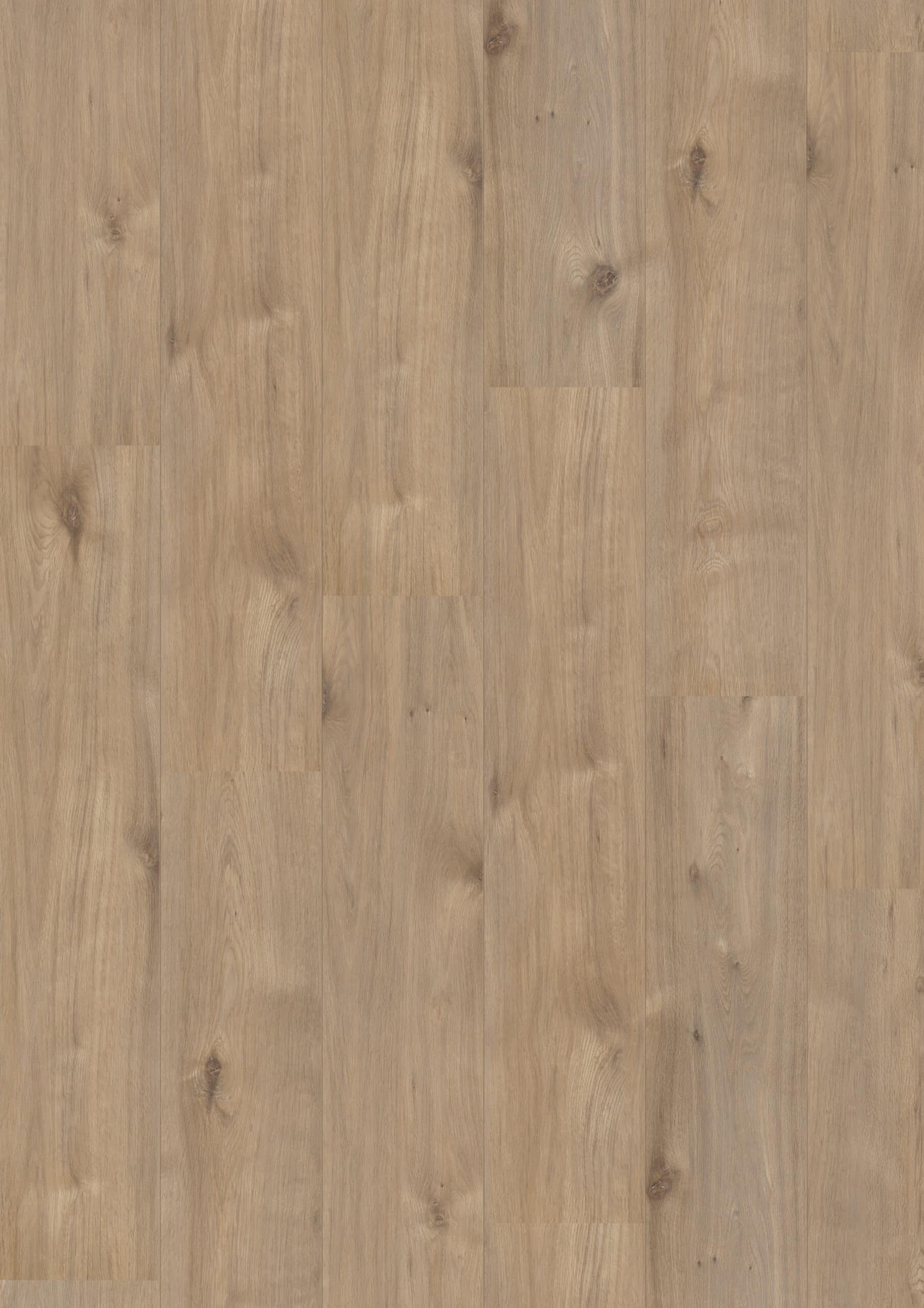 Hoomline - Royal XL V2 Alpe D'Huez 969