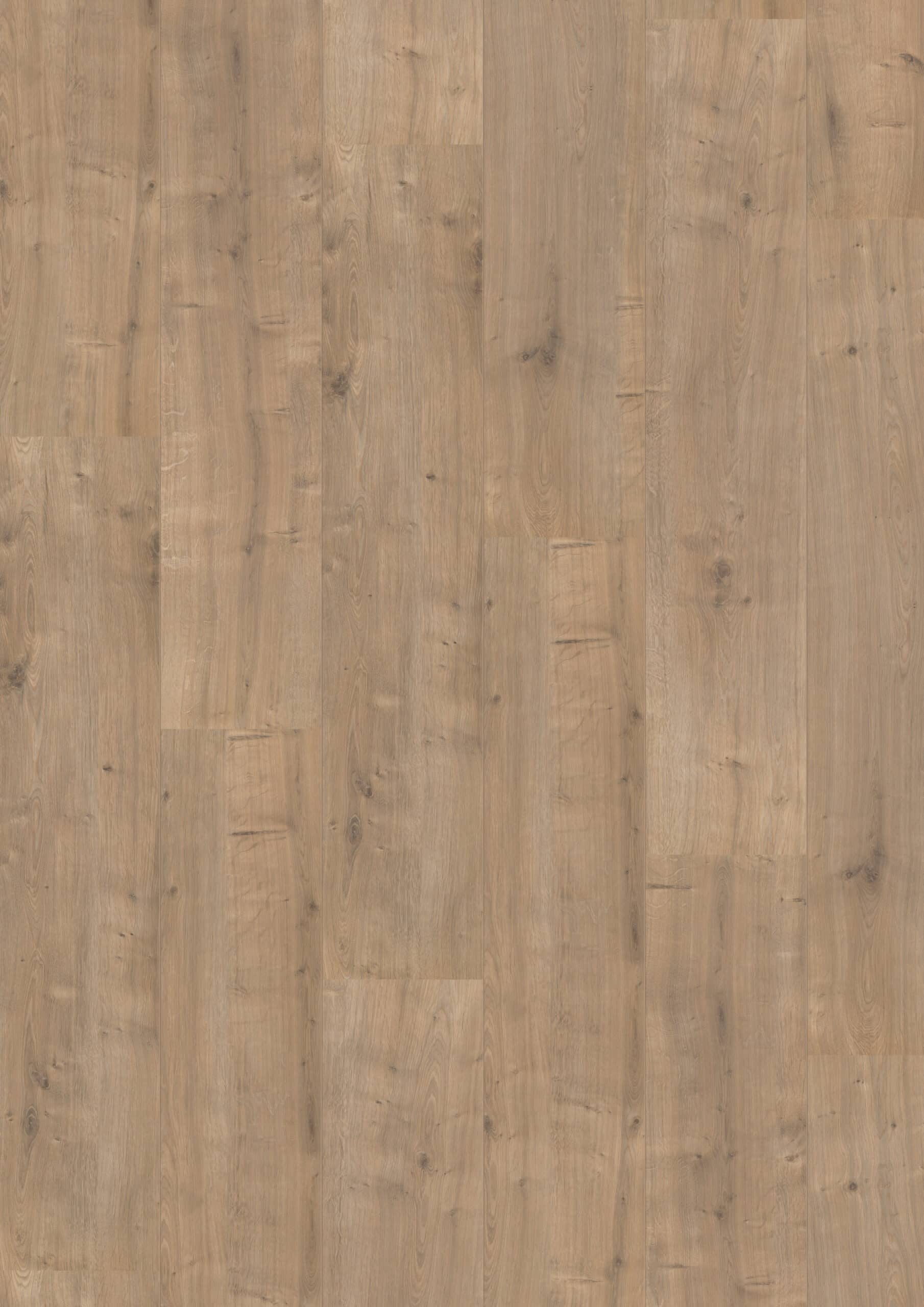 Hoomline - Royal XL V2 Annapurna 946