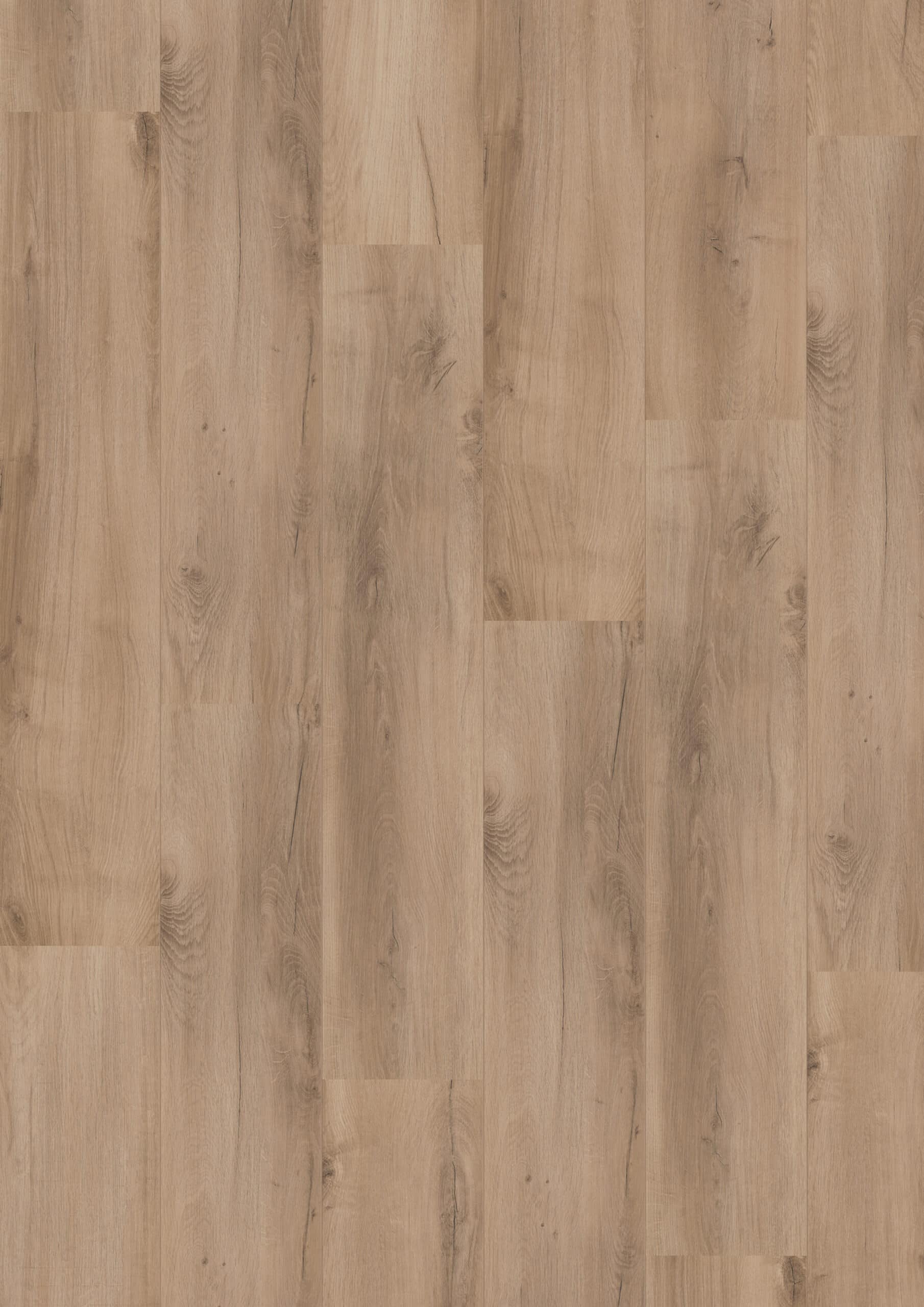 Hoomline - Royal XL V2 Ararat 4927