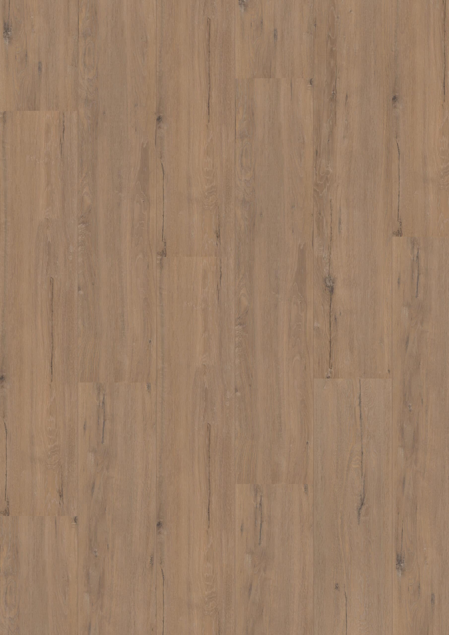 Hoomline - Royal XL V2 Karwendel 902