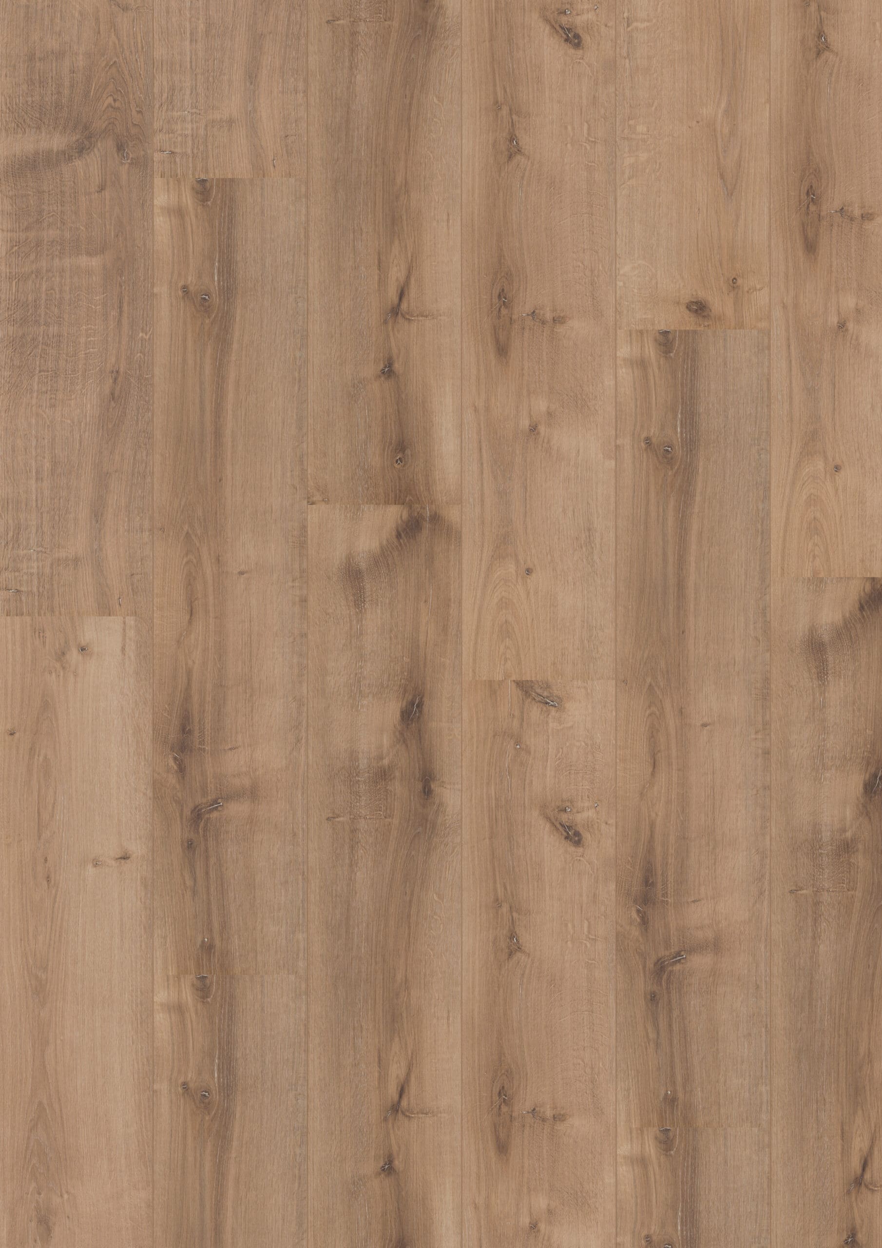 Hoomline - Royal XL V2 Monviso 4930