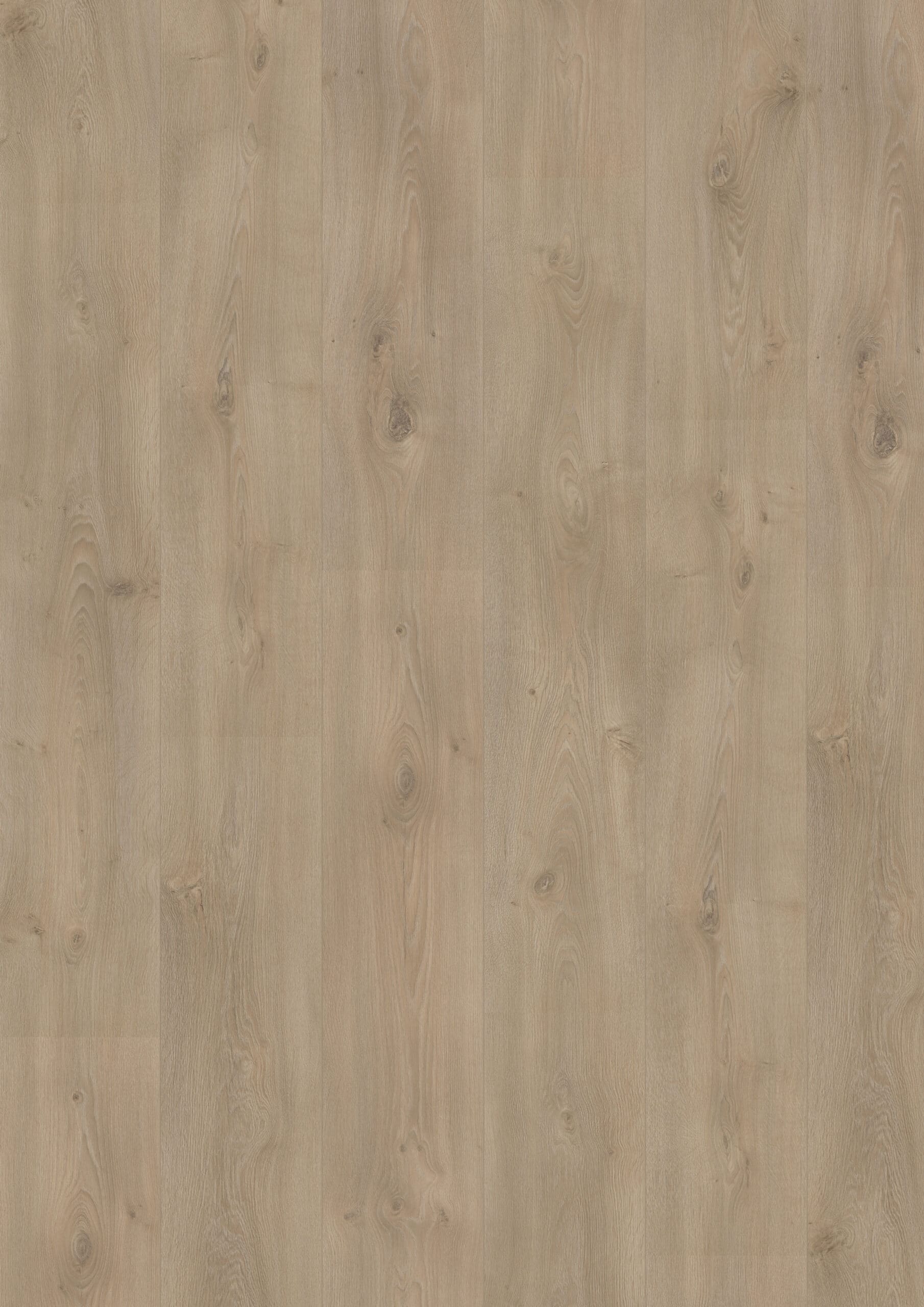 Hoomline - Royal XL V2 Mount Everest