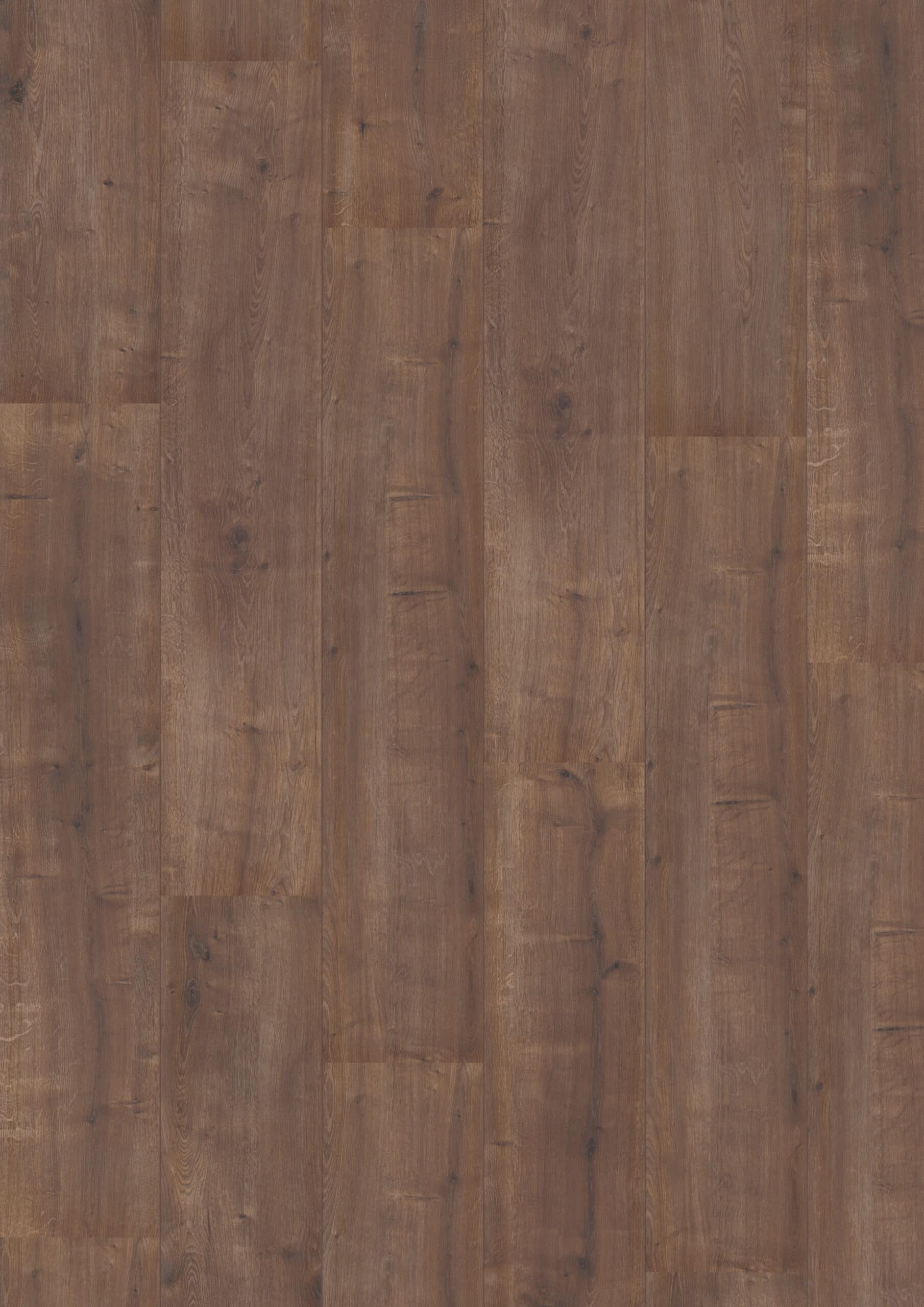 Hoomline - Royal XL V2 Rocky Mountain 959