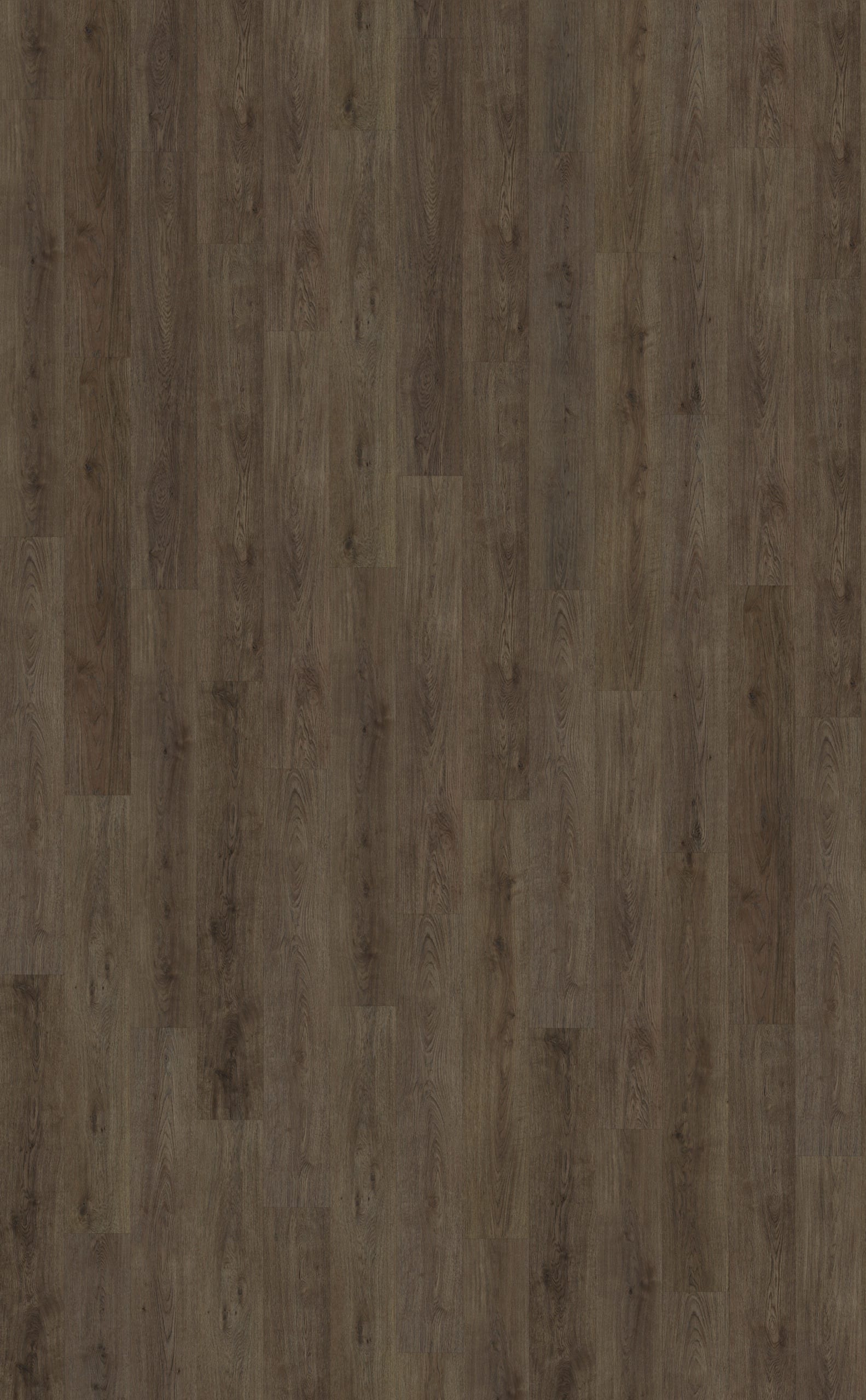 Belakos - Monastro 900 | Rigid Click