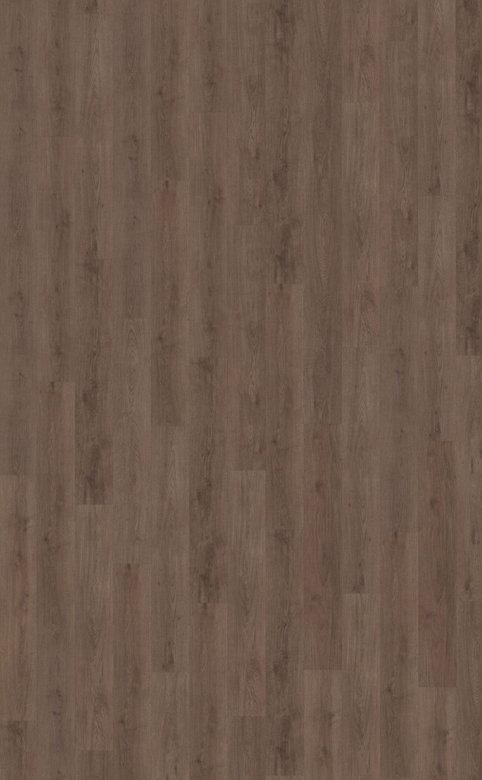 Belakos - Monastro 900