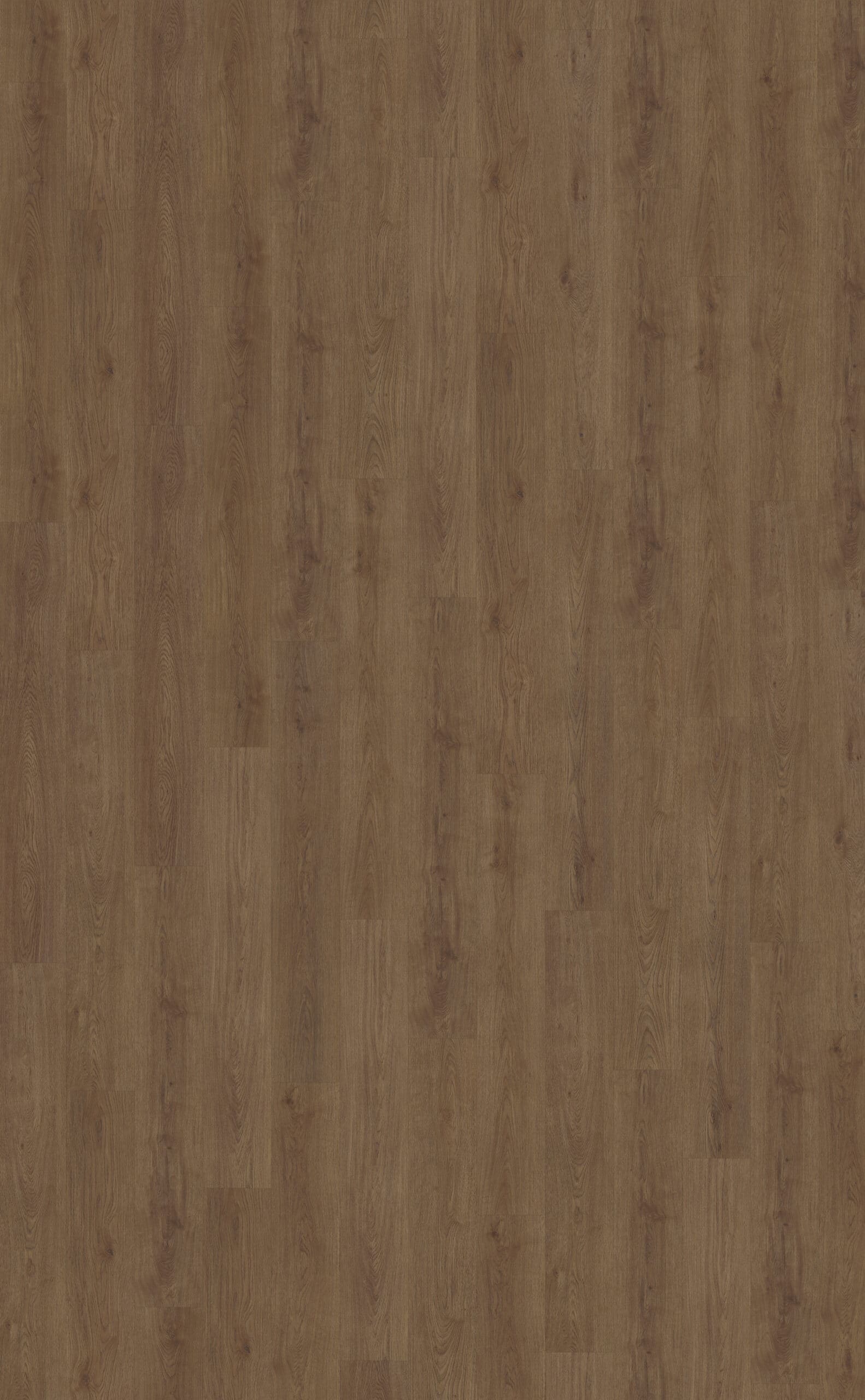 Belakos - Monastro 910