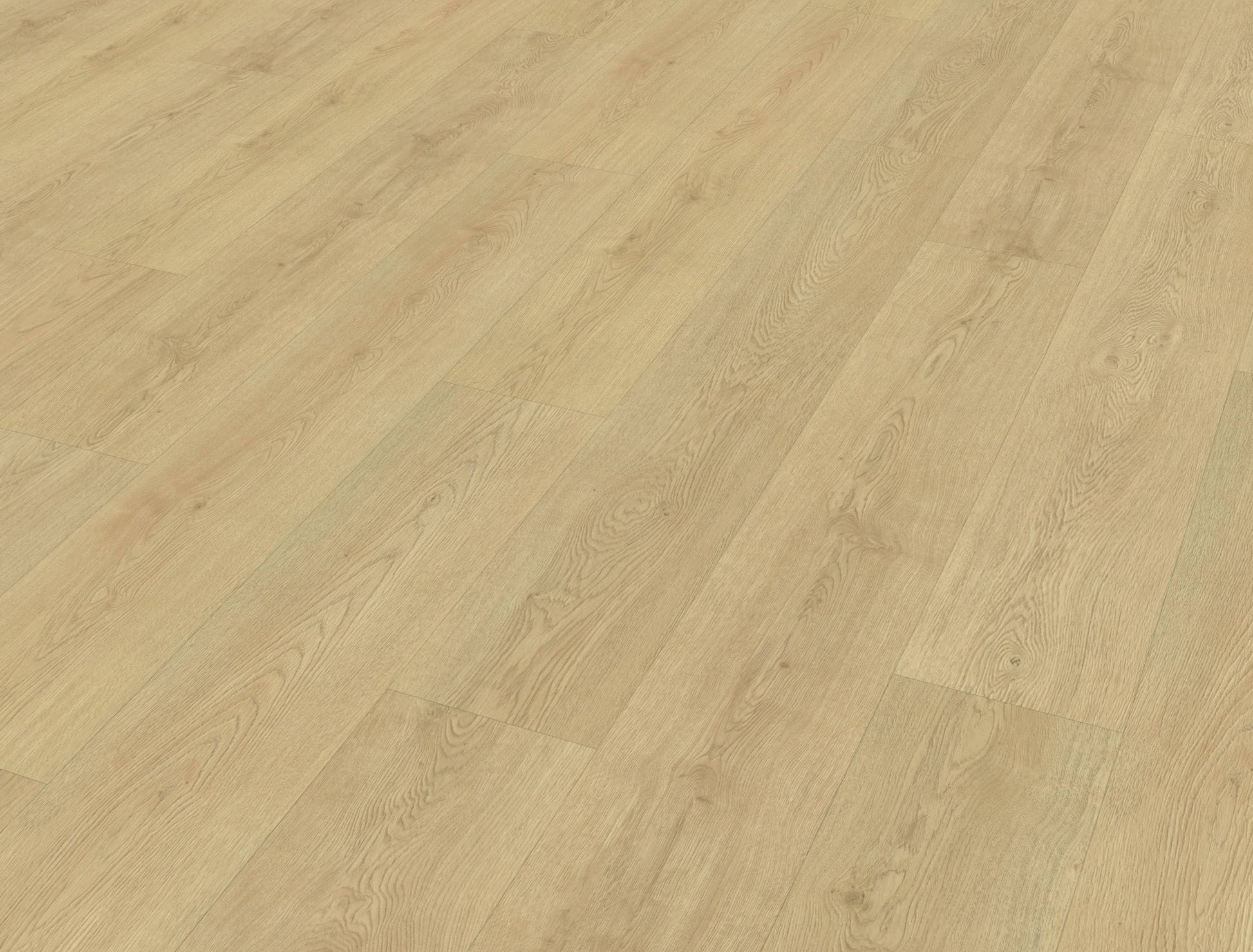 Belakos - Monastro 920 | Rigid Click