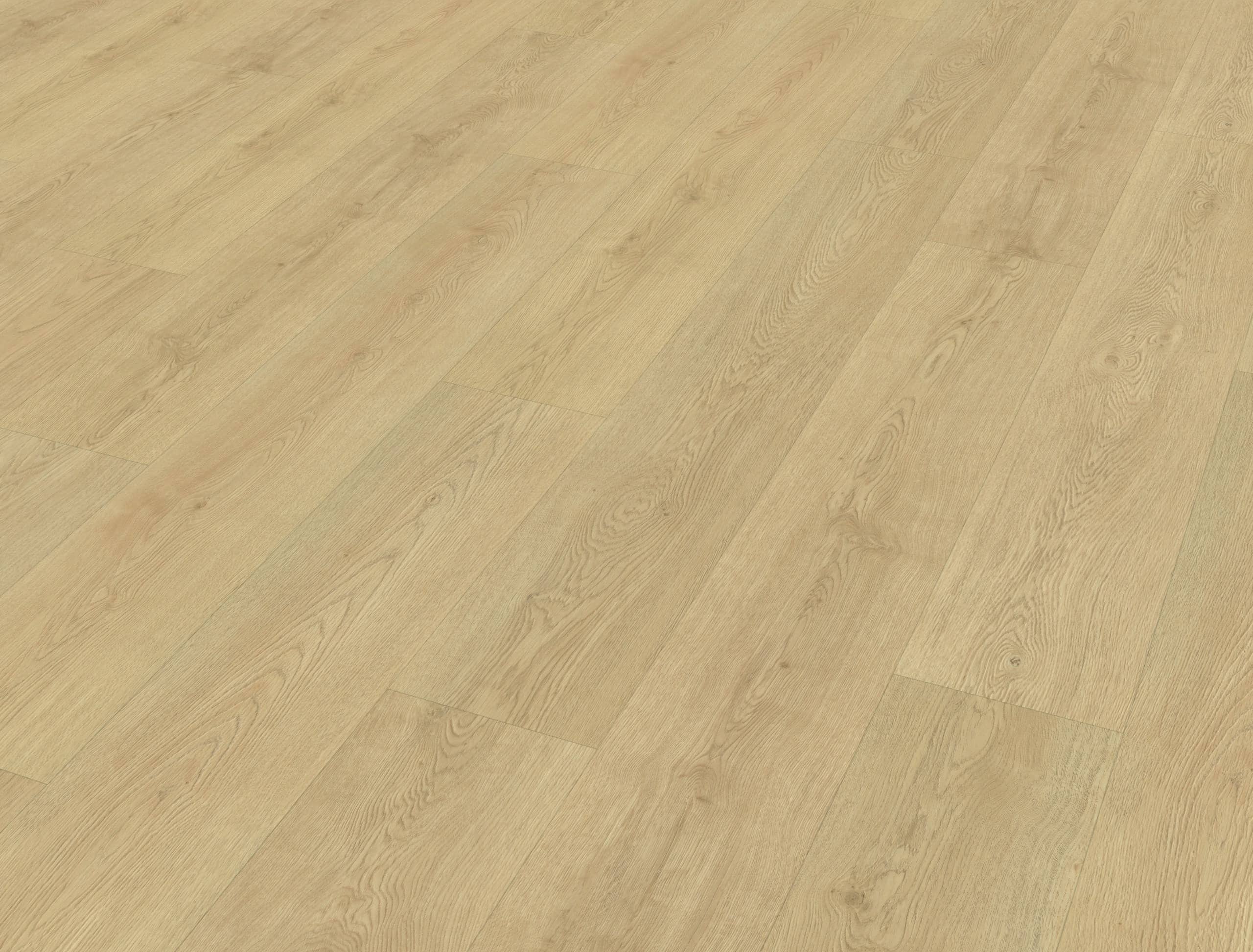 Belakos - Monastro 920 | Rigid Click