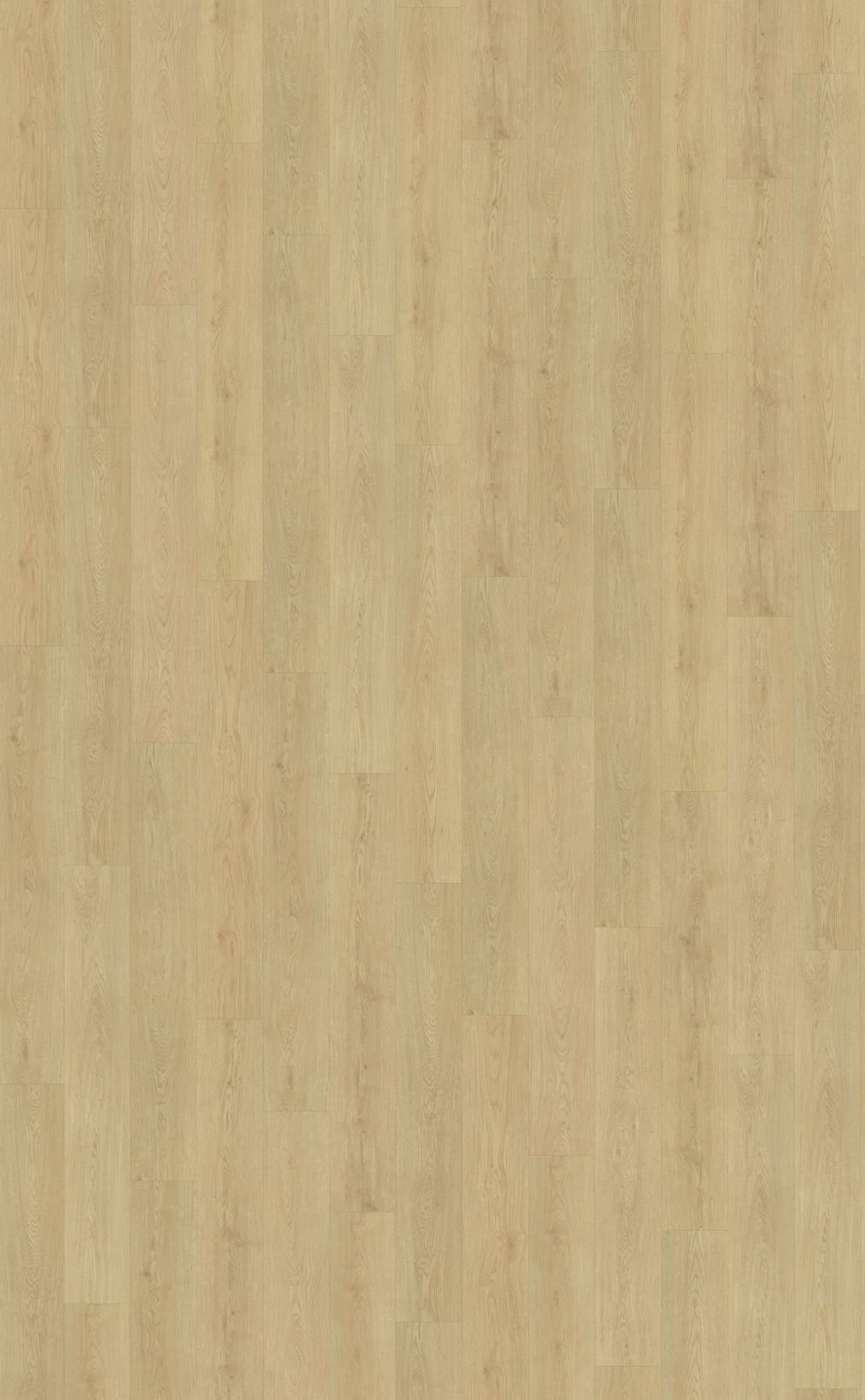 Belakos - Monastro 920 | Rigid Click