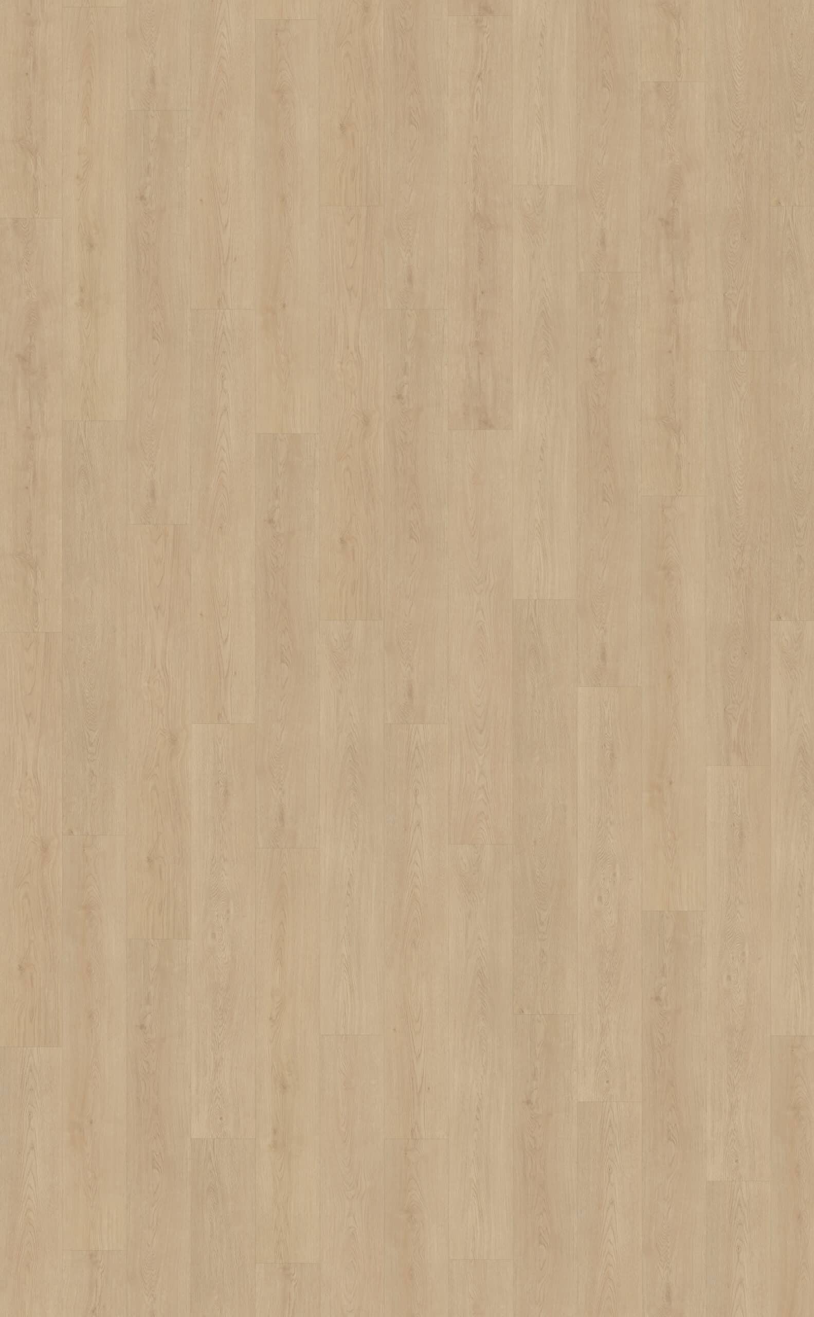 Belakos - Monastro 920