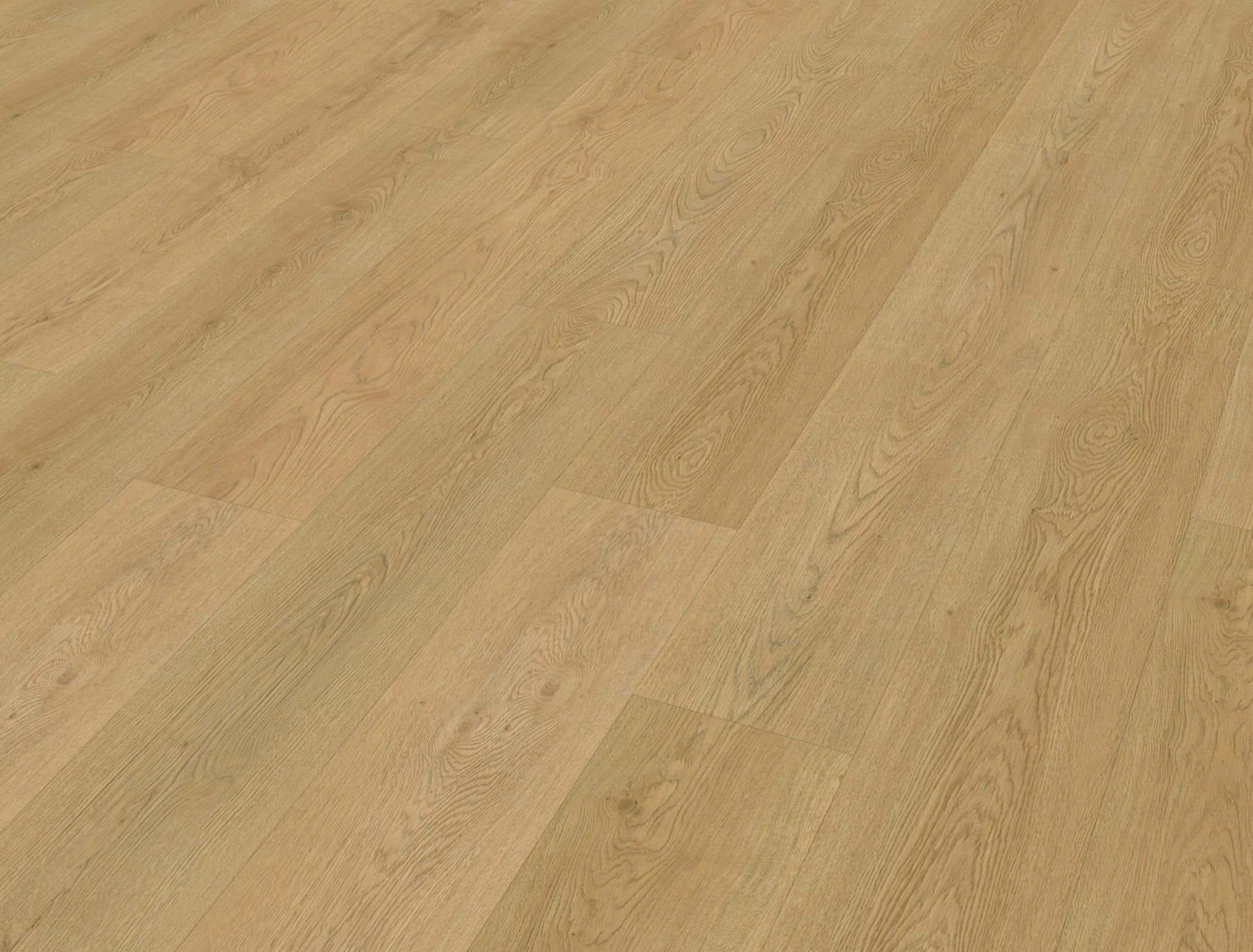 Belakos - Monastro 930 | Rigid Click