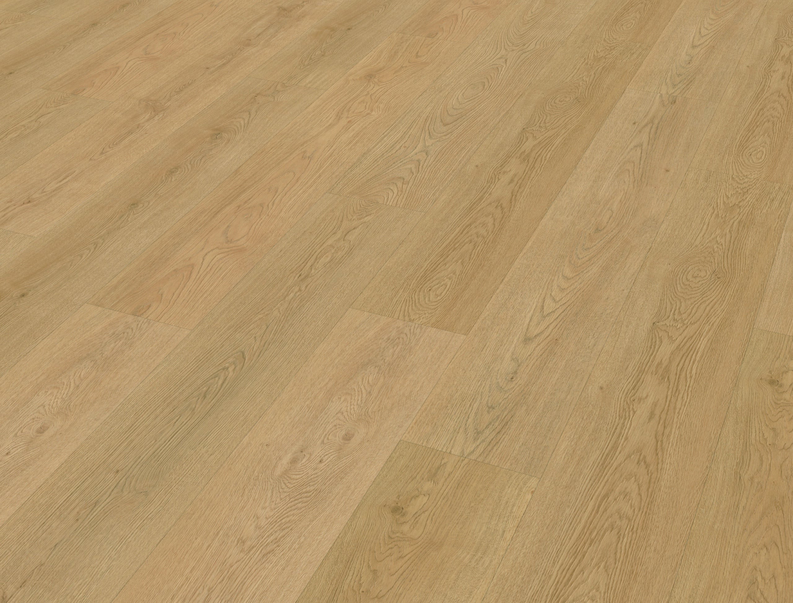 Belakos - Monastro 930 | Rigid Click