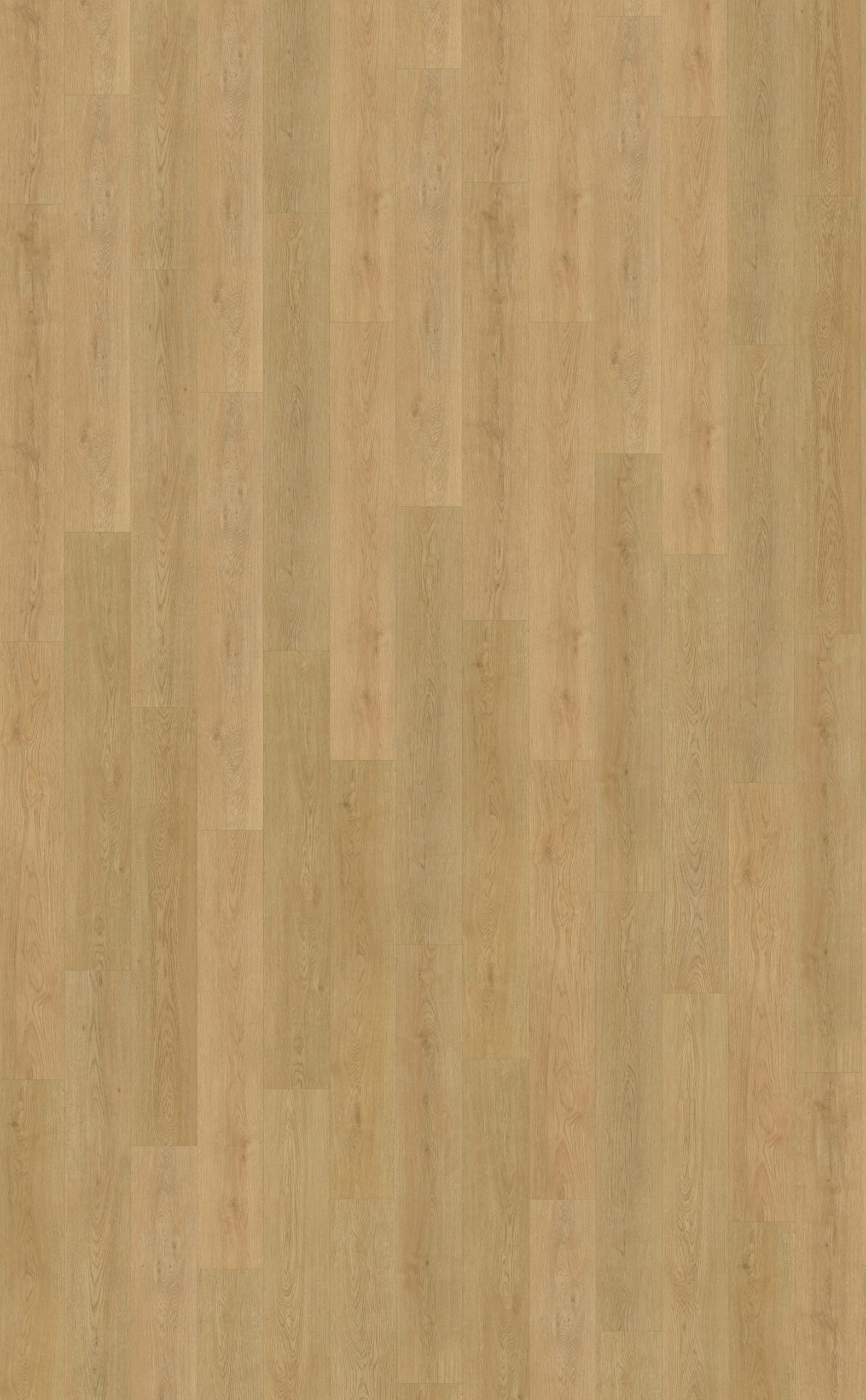 Belakos - Monastro 930 | Rigid Click