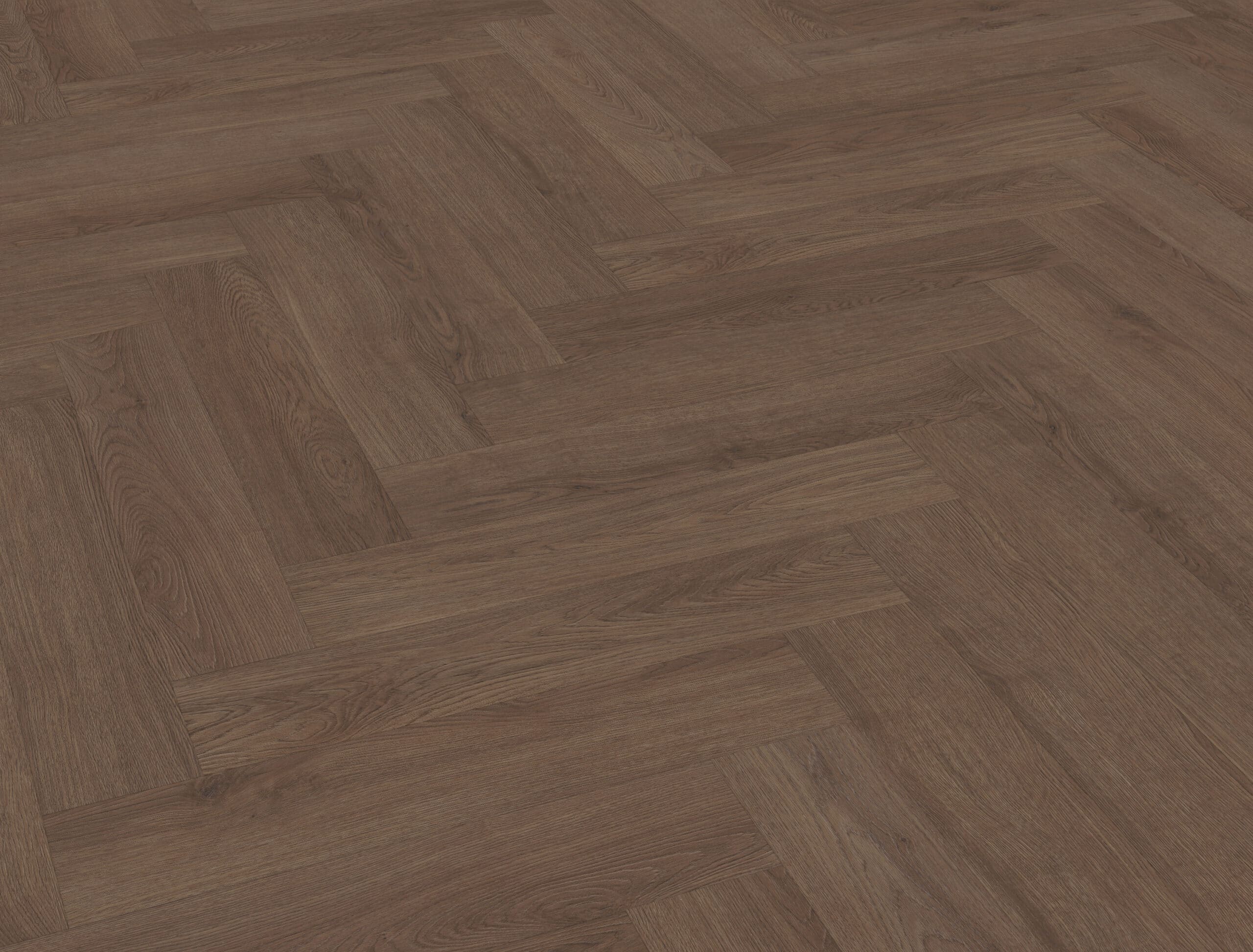 Belakos - Monastro visgraat XL 90