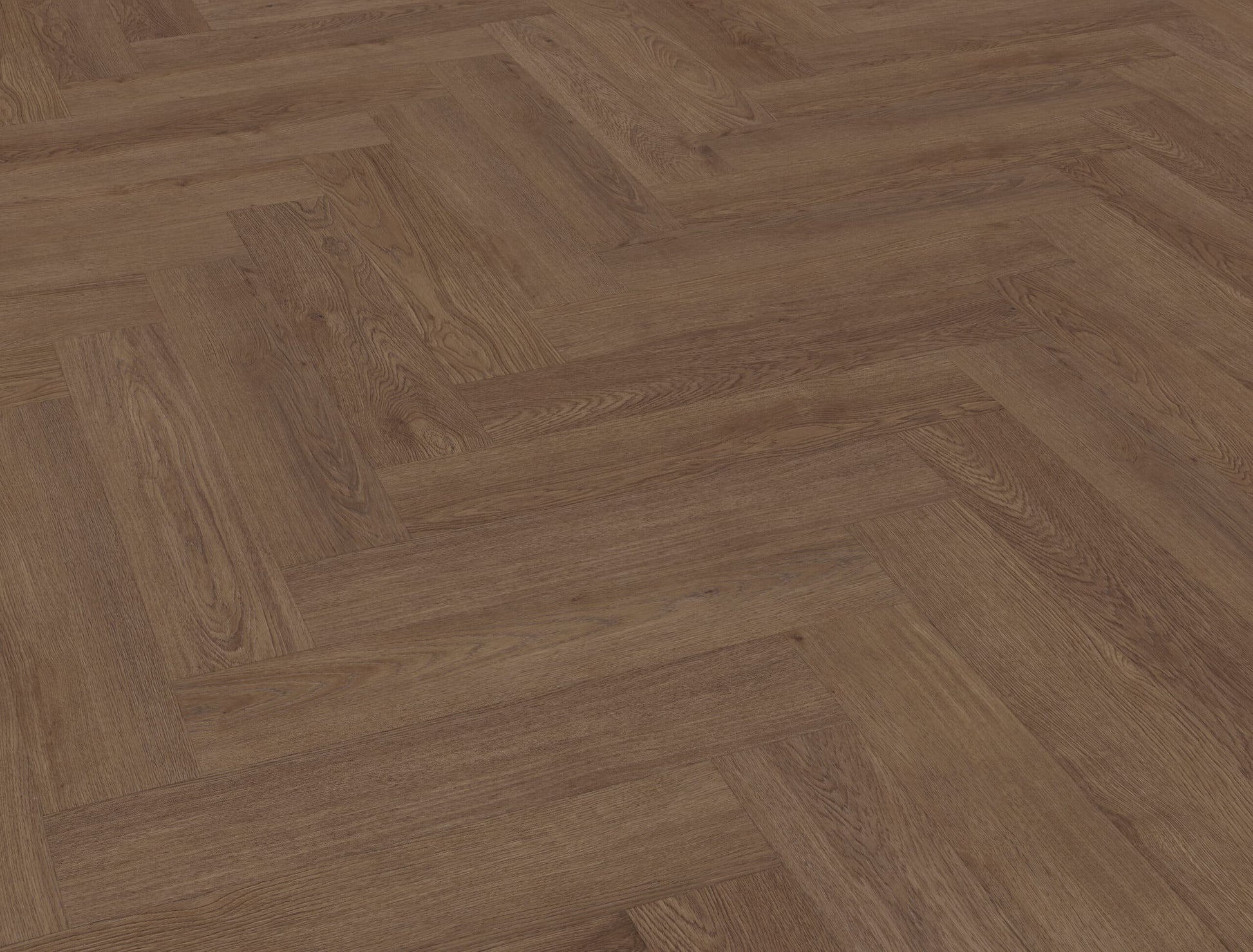 Belakos - Monastro visgraat XL 91