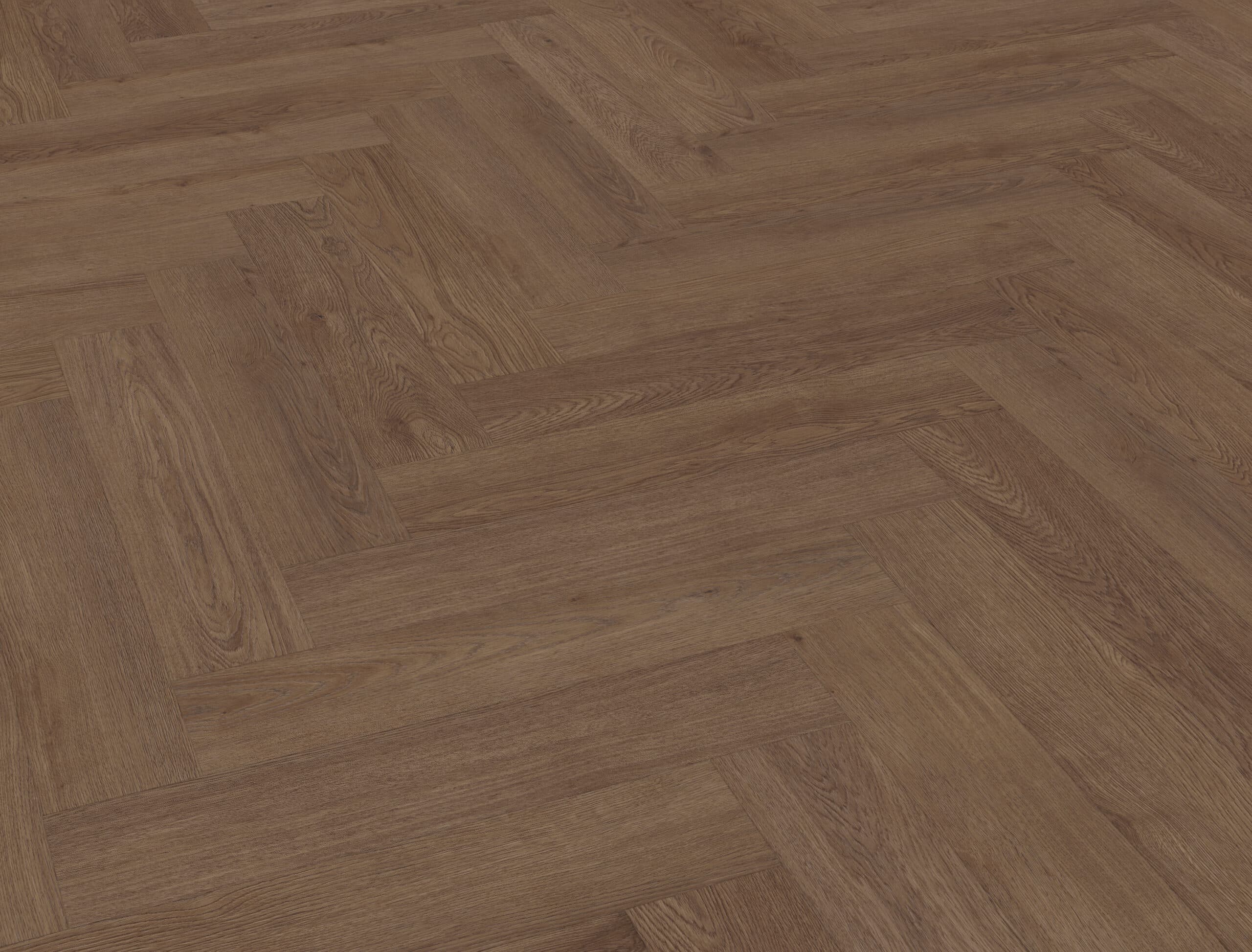 Belakos - Monastro visgraat XL 91