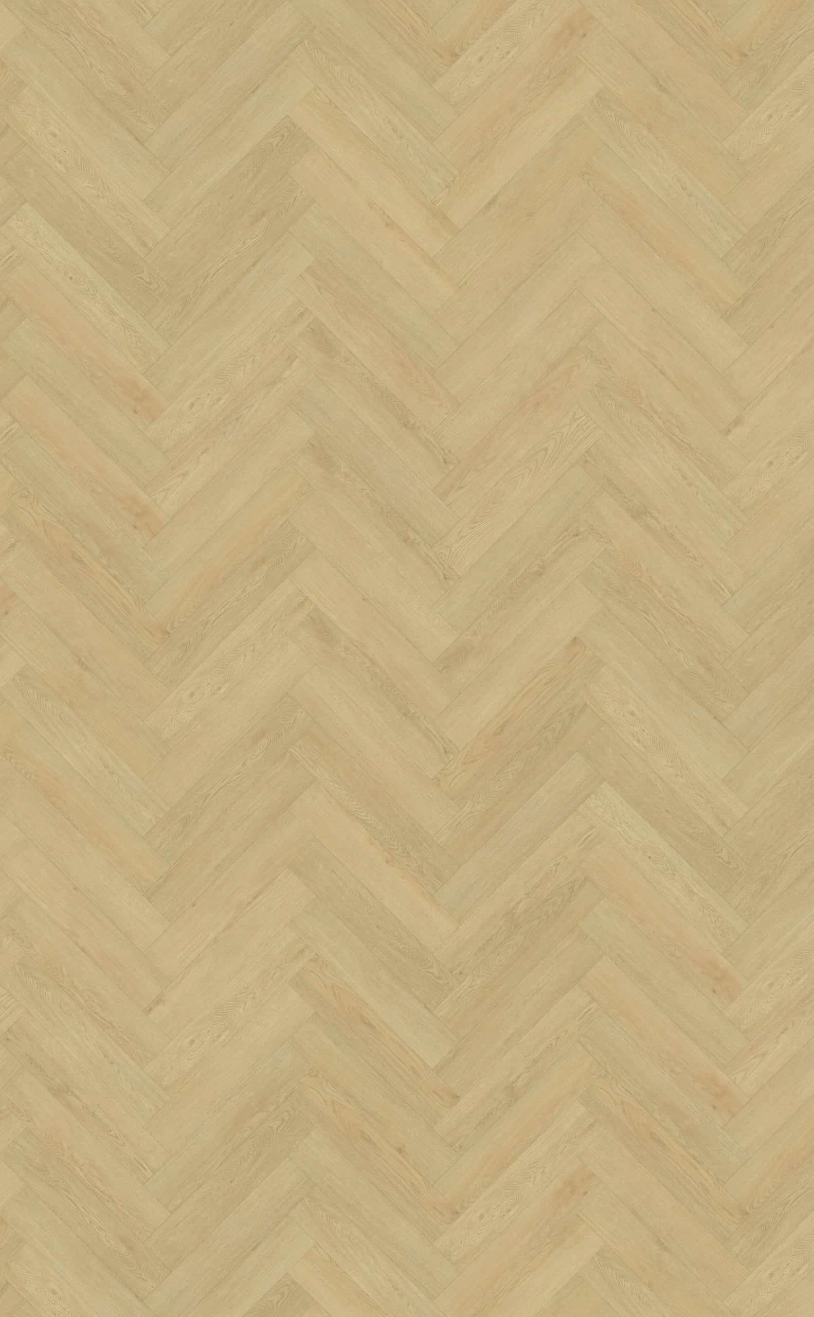 Belakos - Monastro visgraat XL 92 | Rigid Click