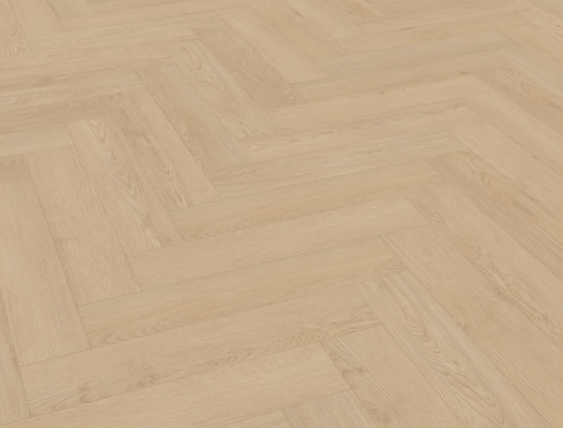 Belakos - Monastro visgraat XL 92