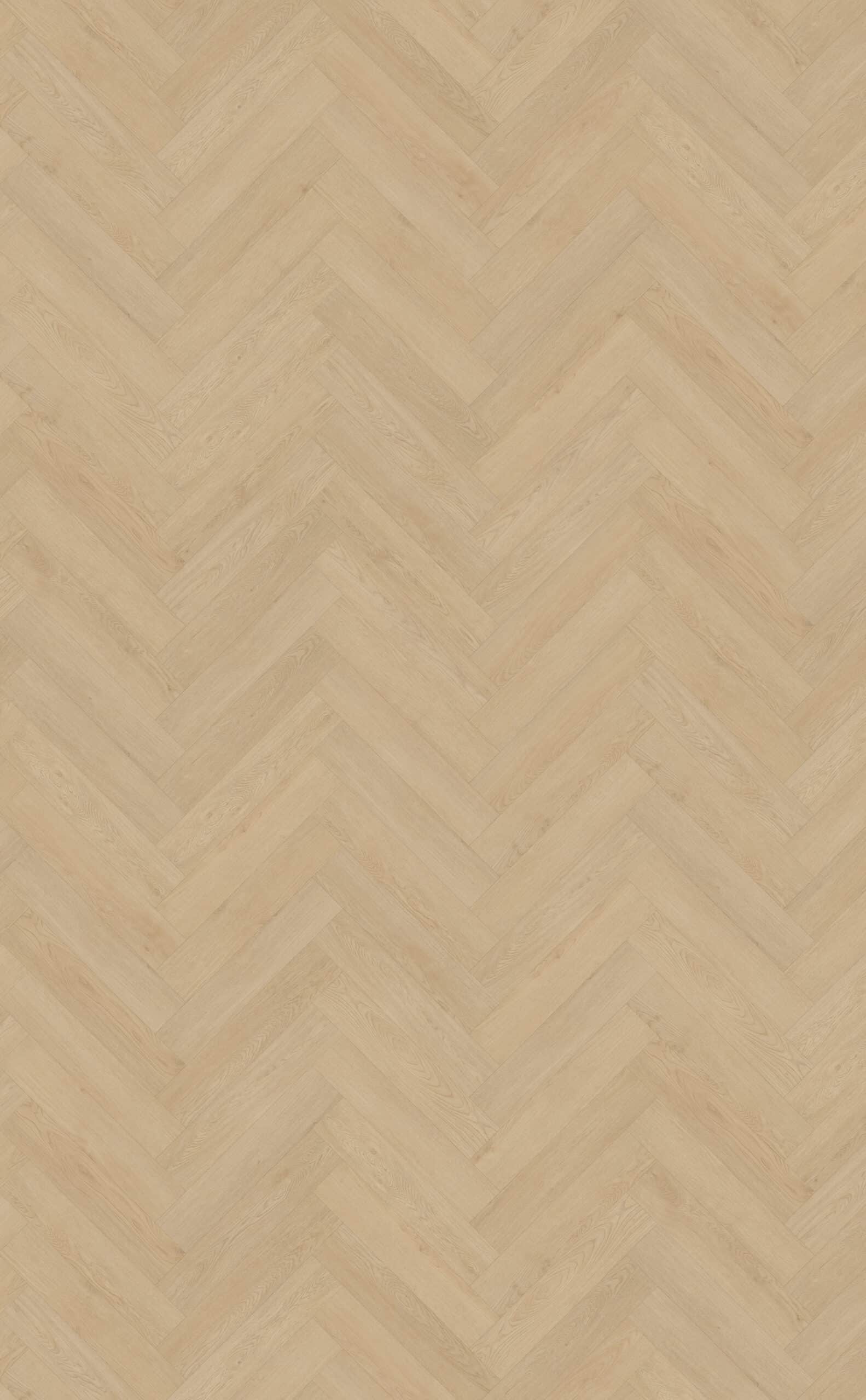 Belakos - Monastro visgraat XL 92