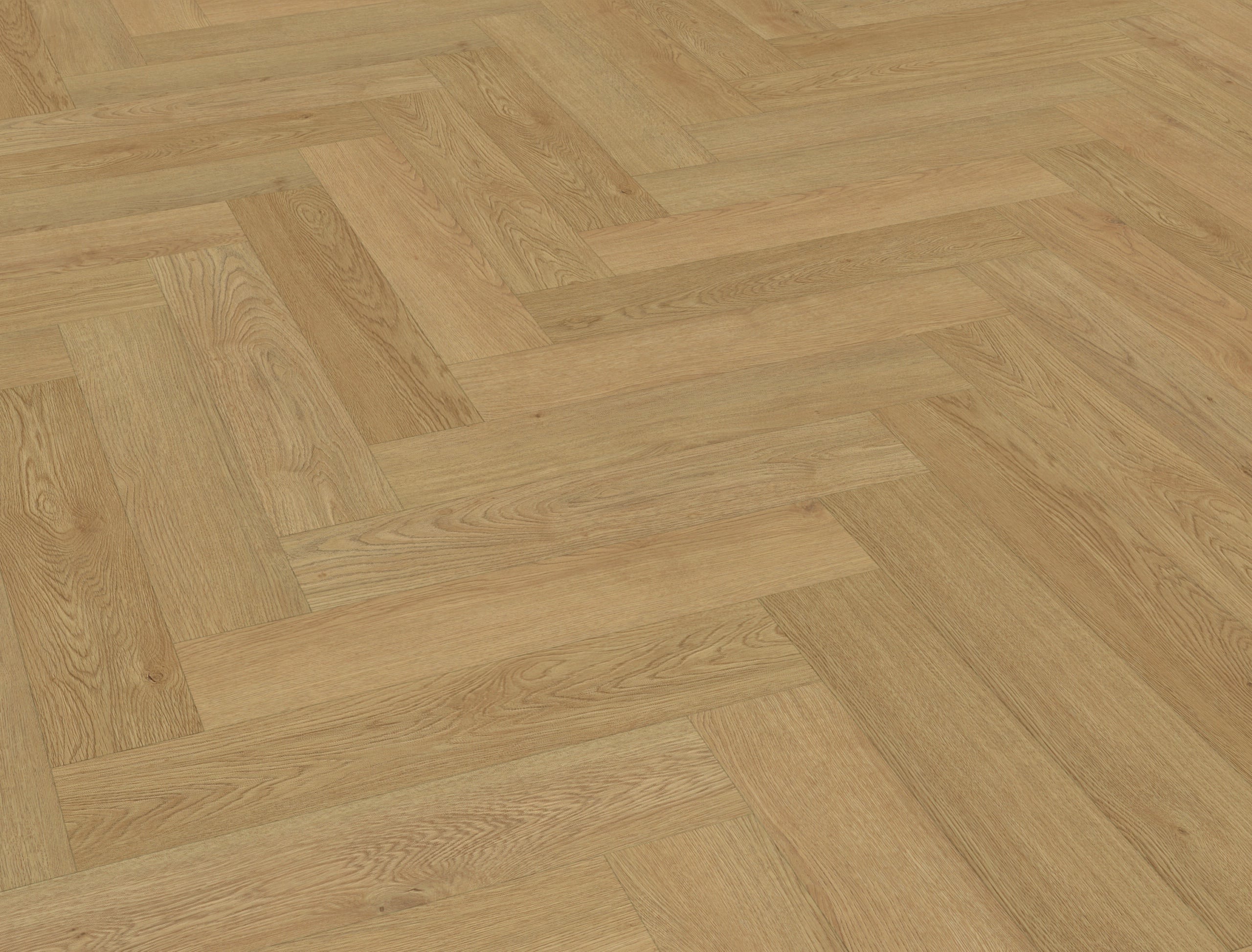 Belakos - Monastro visgraat XL 93 | Rigid Click