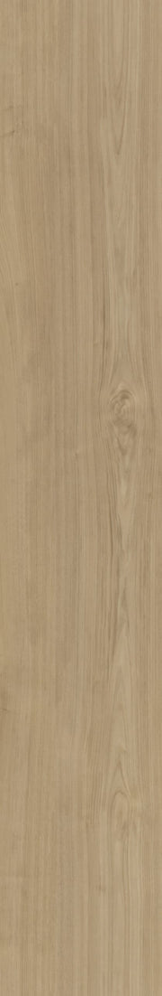 Belakos - Portico 540 Rigid Click