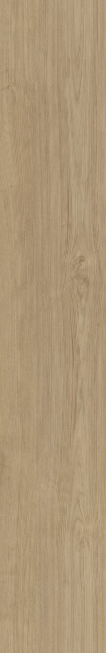 Belakos - Portico 540 Rigid Click