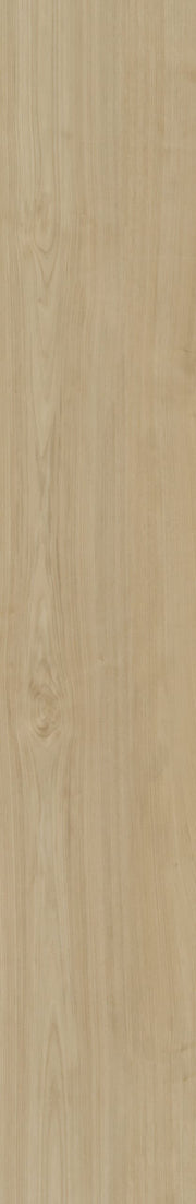 Belakos - Portico 550 Rigid Click