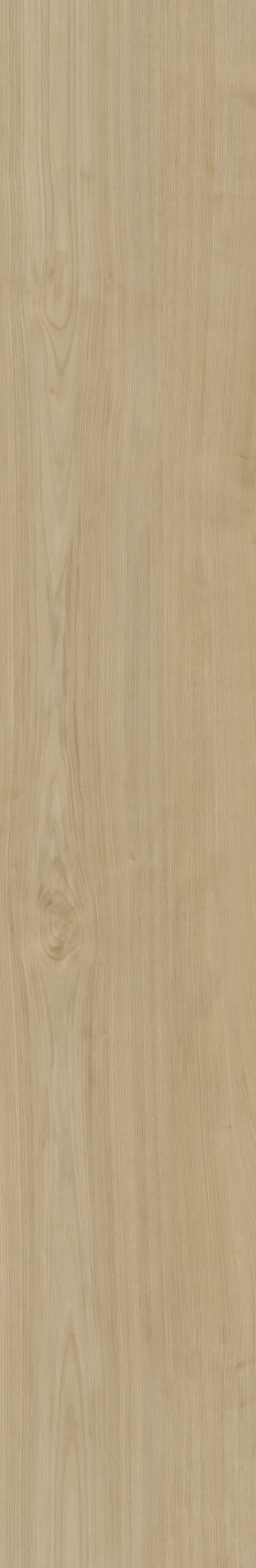 Belakos - Portico 550 Rigid Click