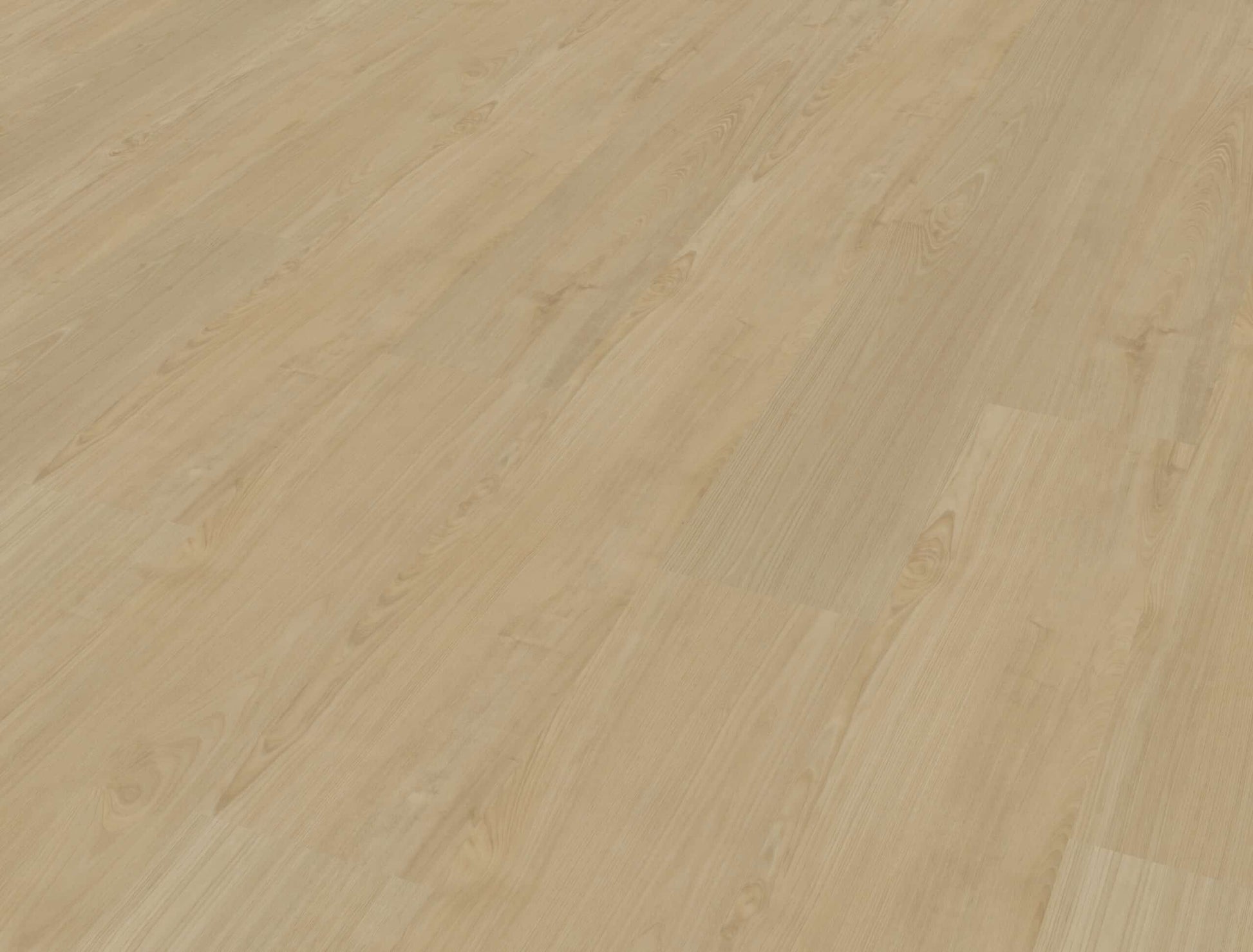 Belakos - Portico 550 Rigid Click