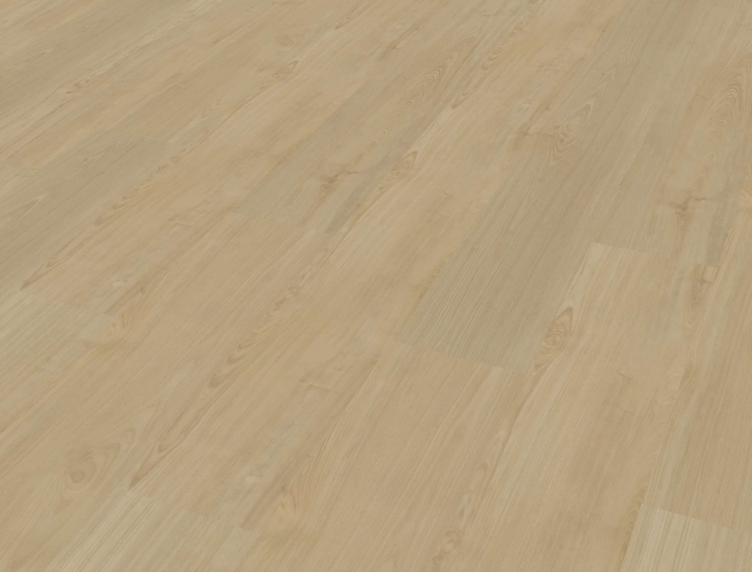 Belakos - Portico 550 Rigid Click