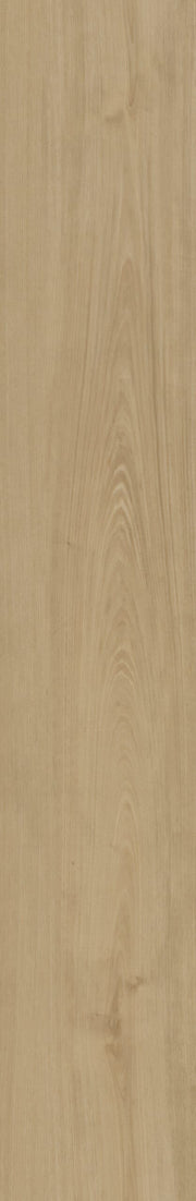 Belakos - Portico 560 Rigid Click