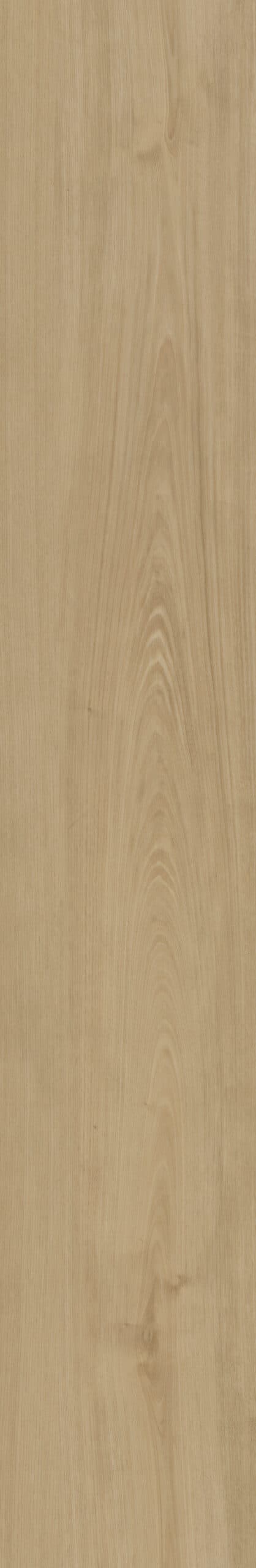 Belakos - Portico 560 Rigid Click