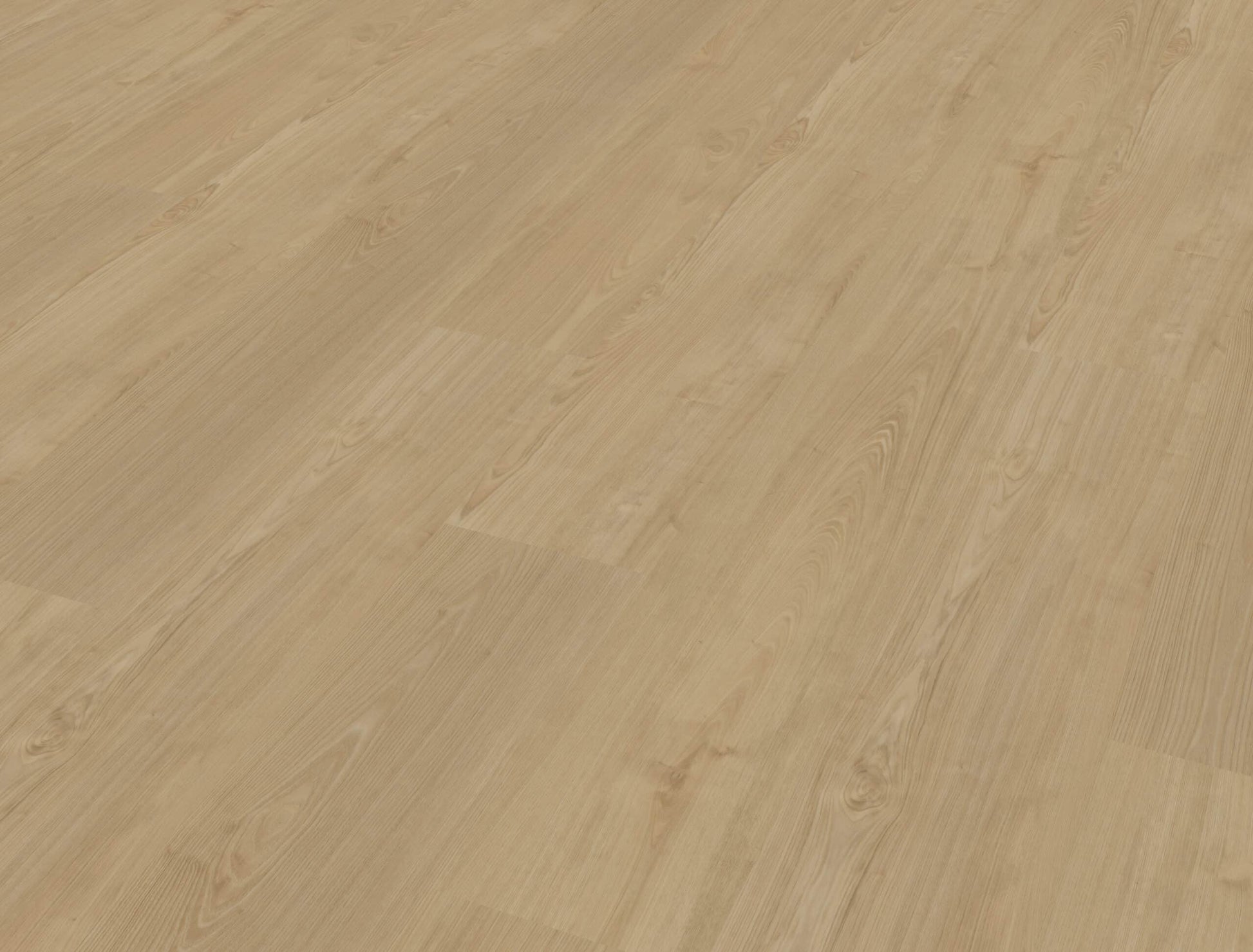 Belakos - Portico 560 Rigid Click