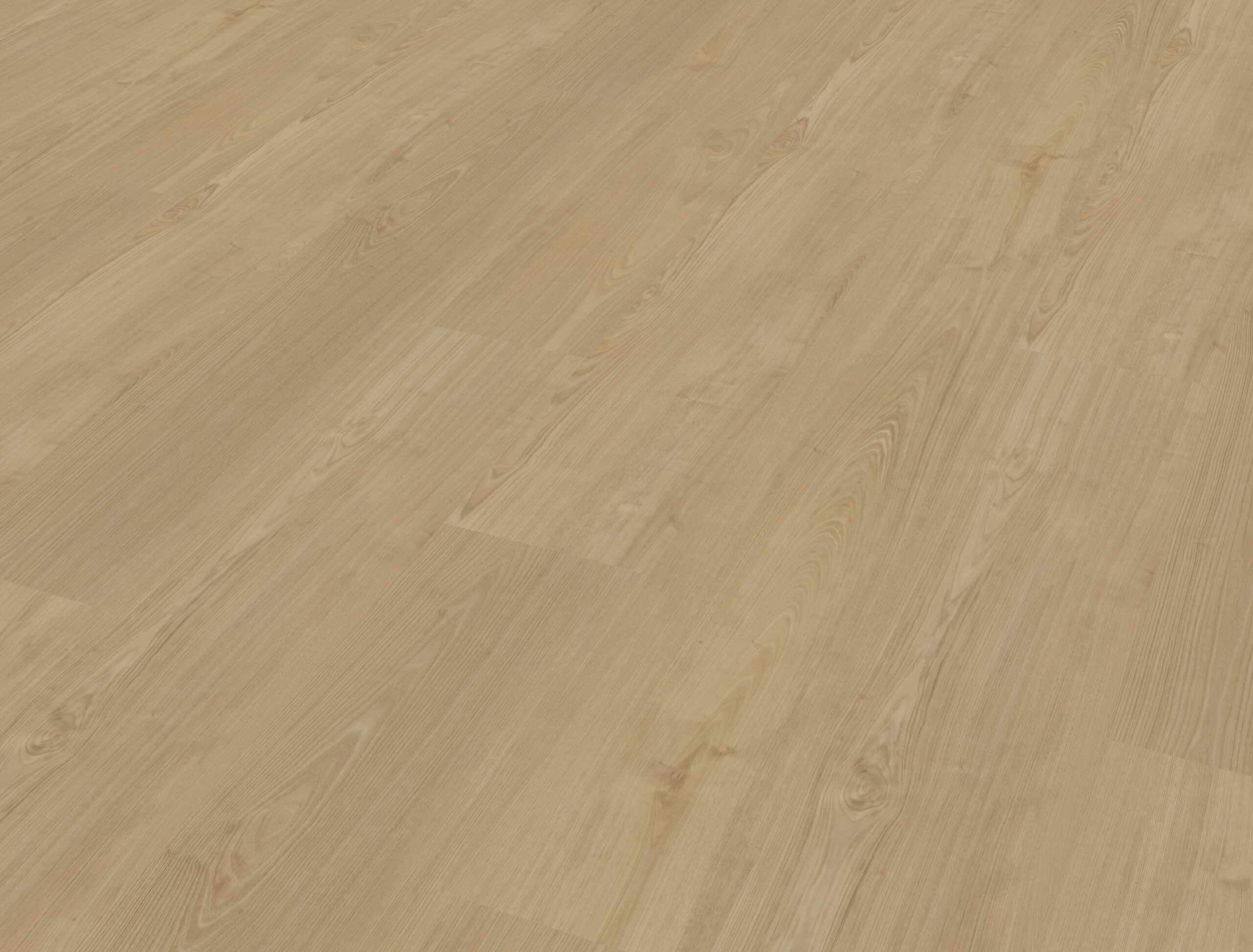 Belakos - Portico 560 Rigid Click